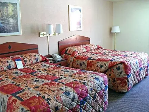 Bed in Motel 6-Lebec, CA