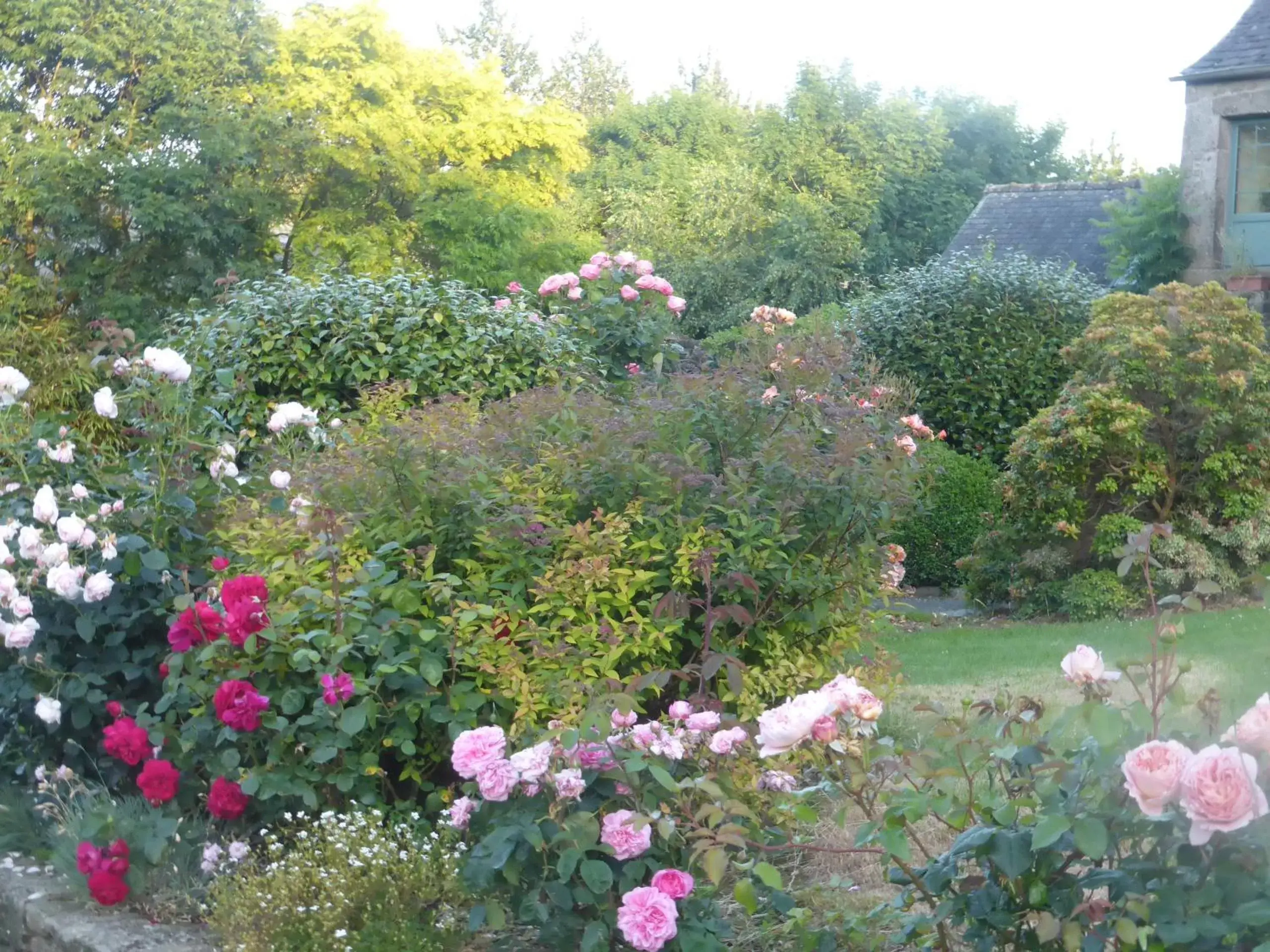 Garden in ty dreux entre terre et mer