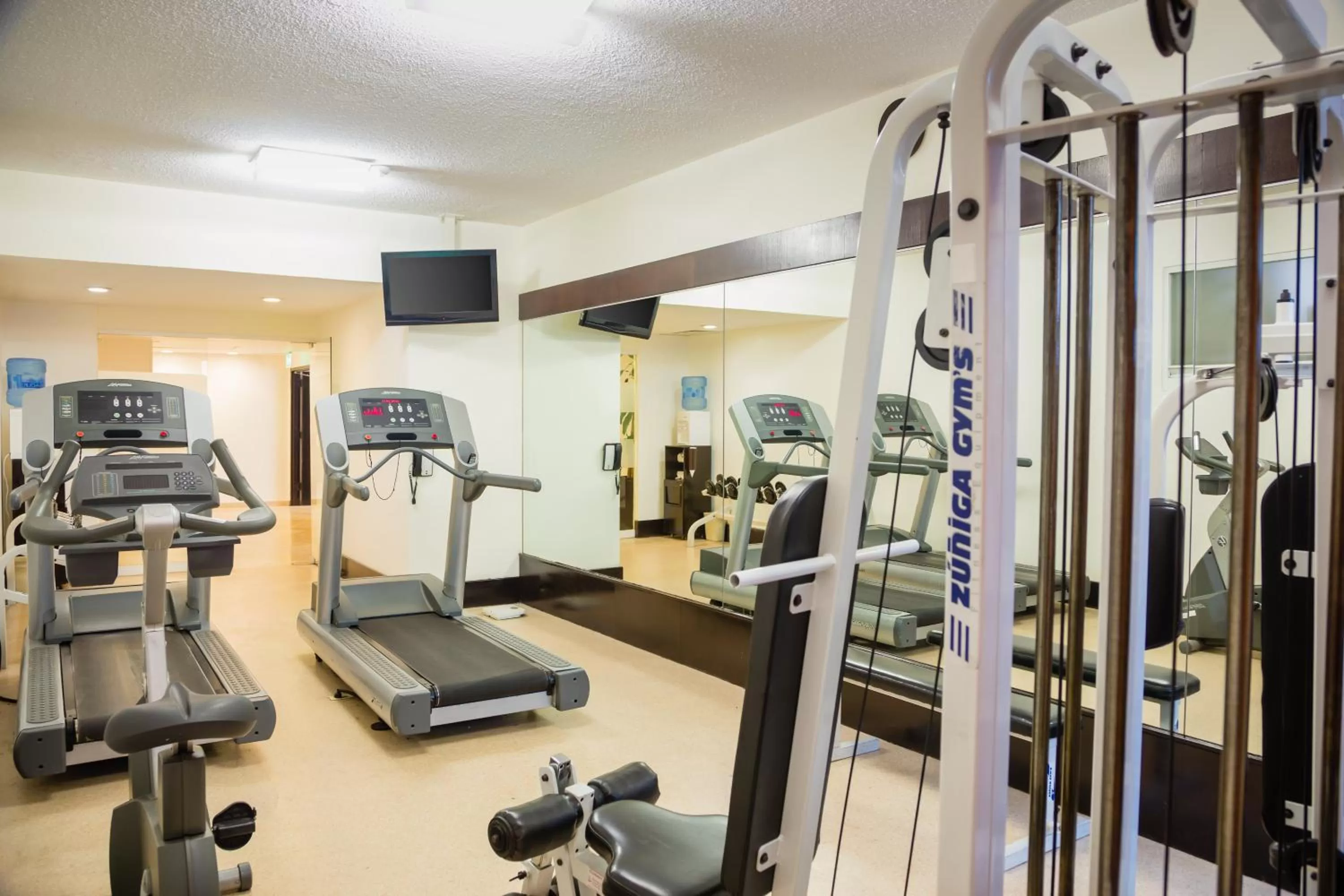 Fitness centre/facilities in Fiesta Inn Perinorte