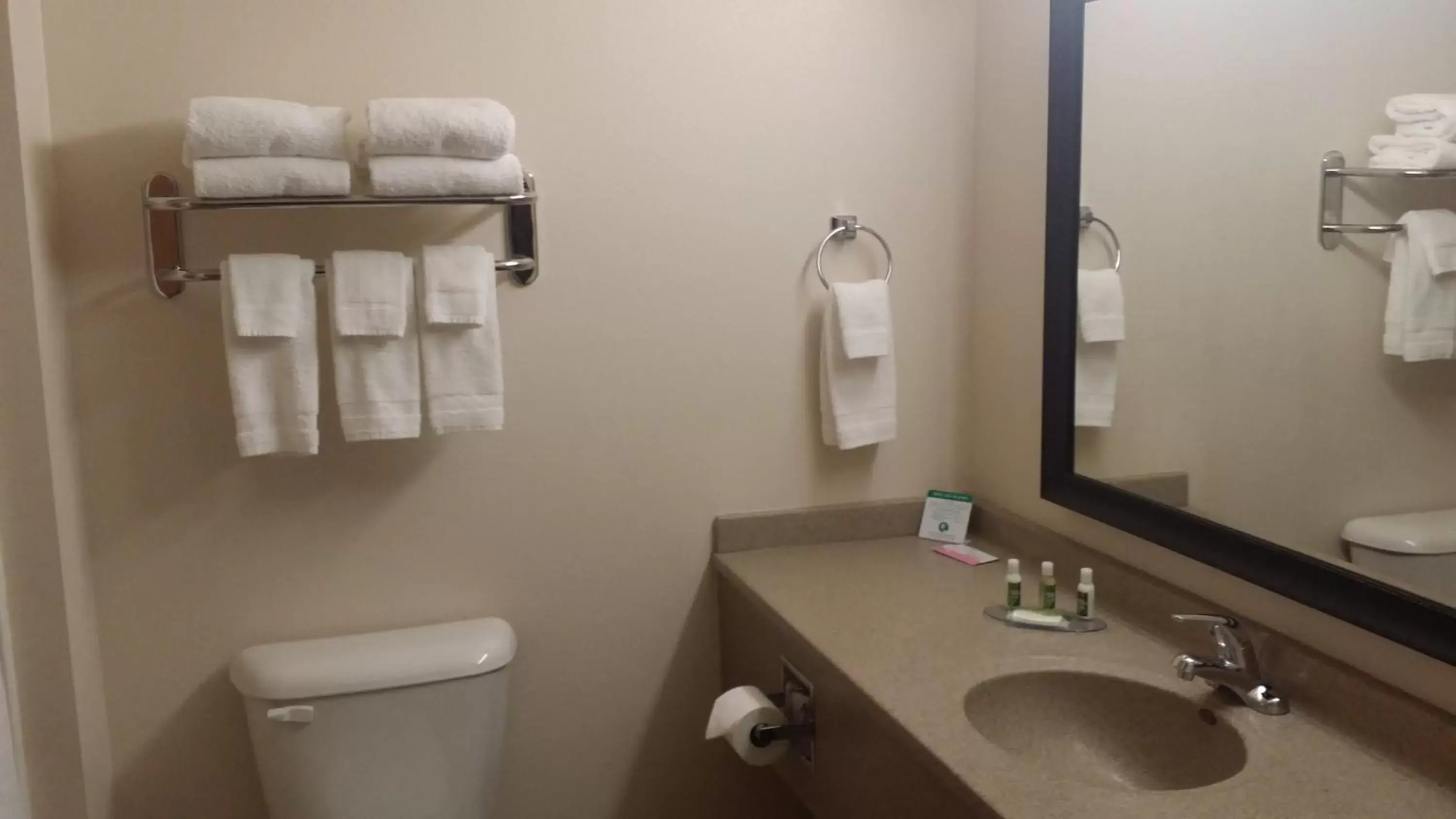 Toilet, Bathroom in GrandStay Hotel and Suites Parkers Prairie