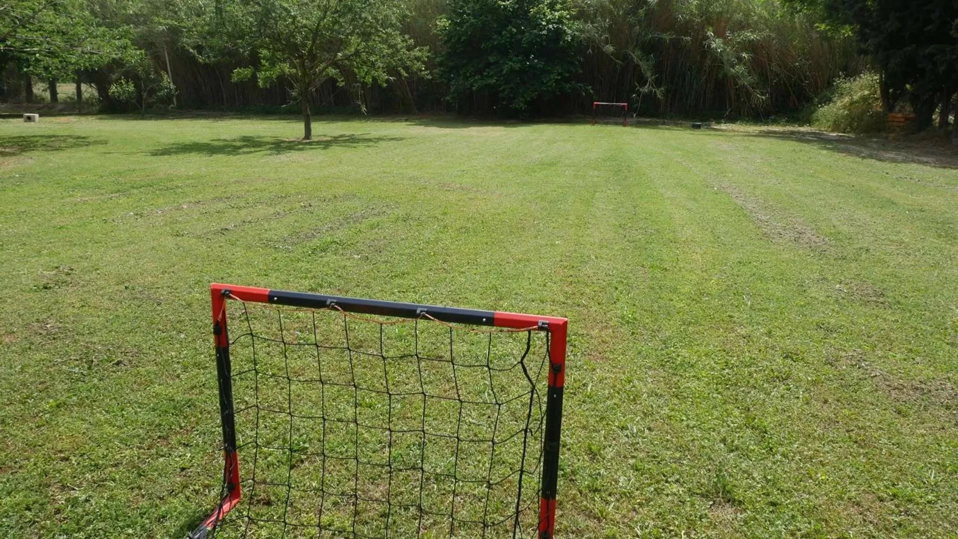 Garden view in MAS MAURANE-Chambre d'hôte avec SPA privé aux portes d'ARLES
