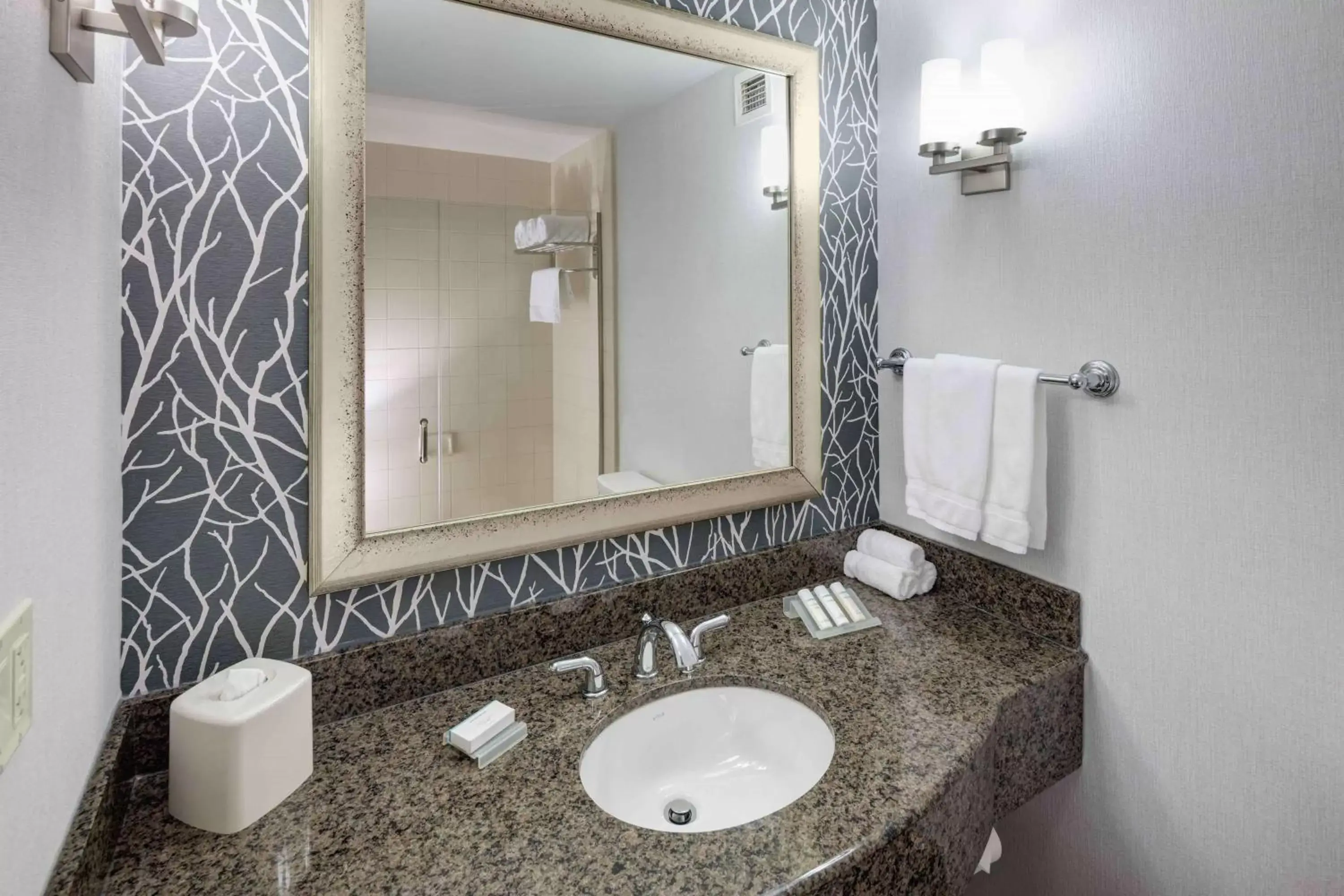 Bathroom in Hilton Garden Inn Detroit/Novi