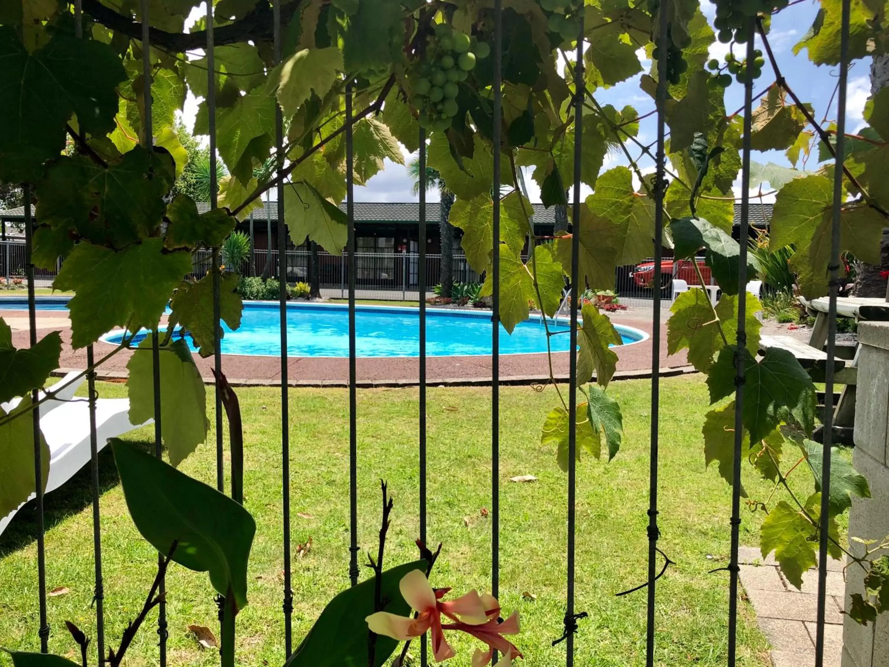 Swimming pool, Pool View in Teal Motor Lodge