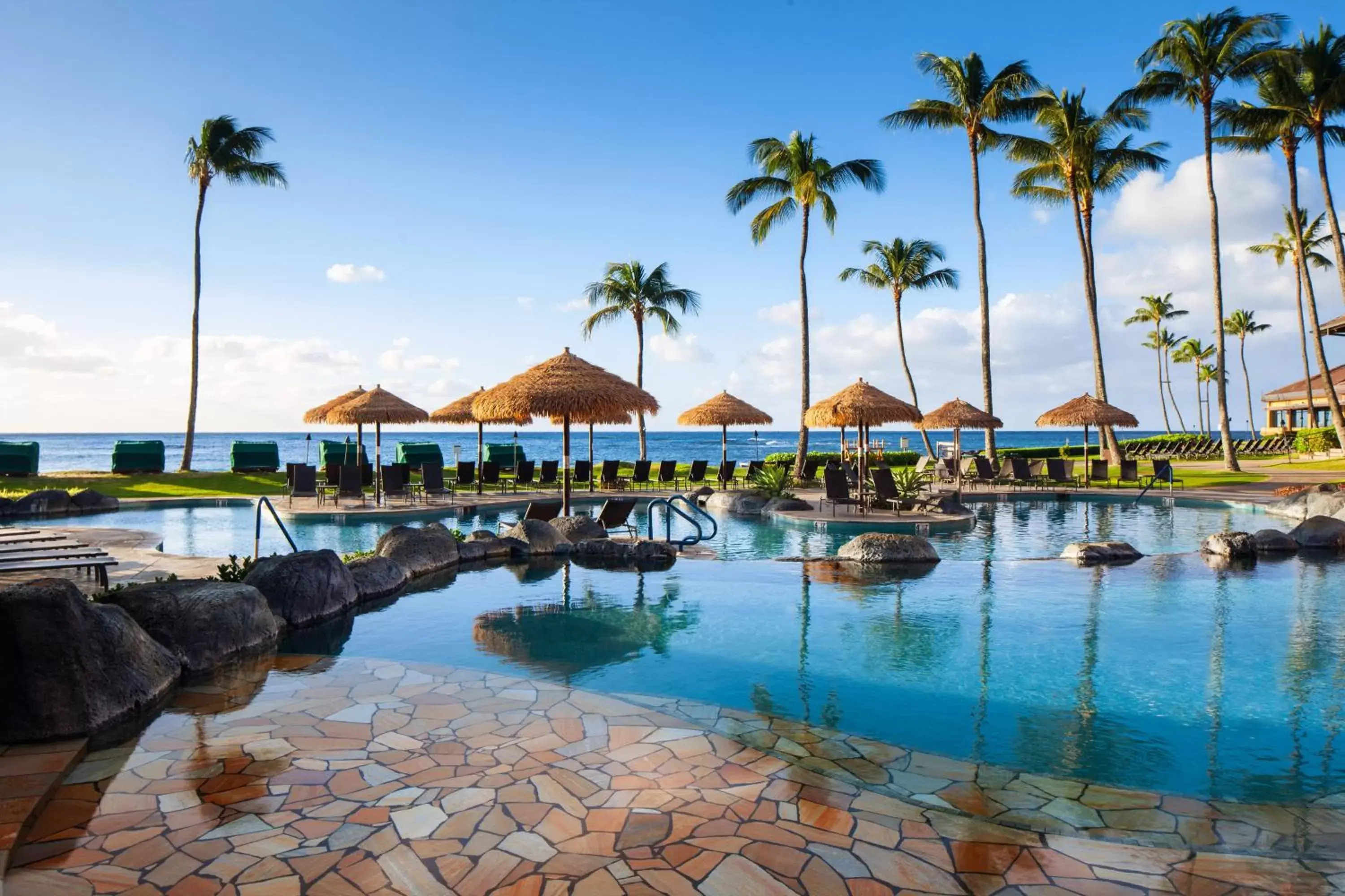 Swimming Pool in Sheraton Kauai Resort
