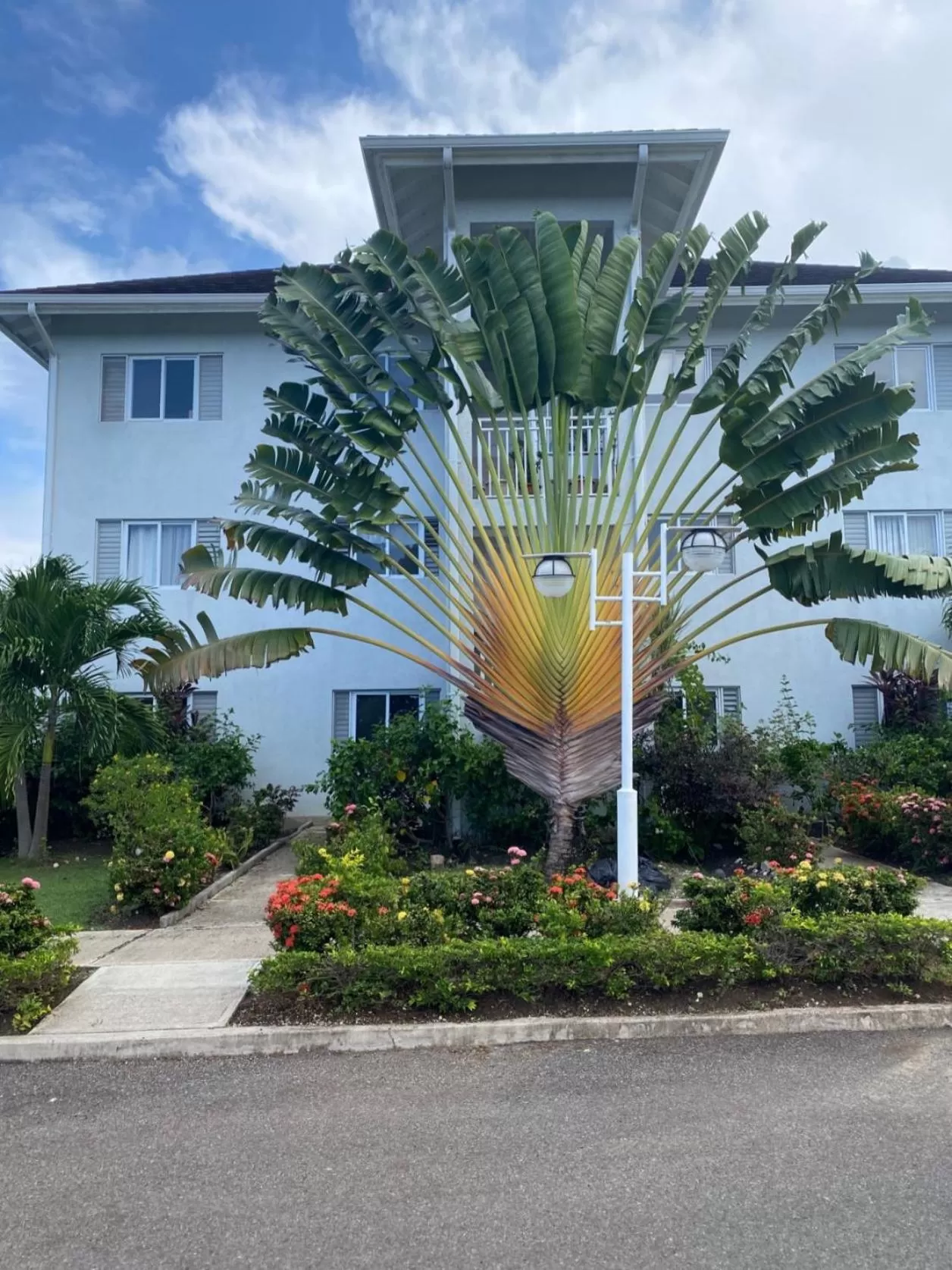 Property Building in Jamnick Vacation Rentals - Richmond, St Ann, Jamaica