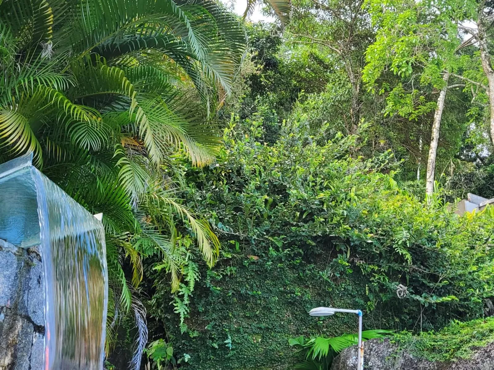 Garden in Apartamentos Casa da Pedra