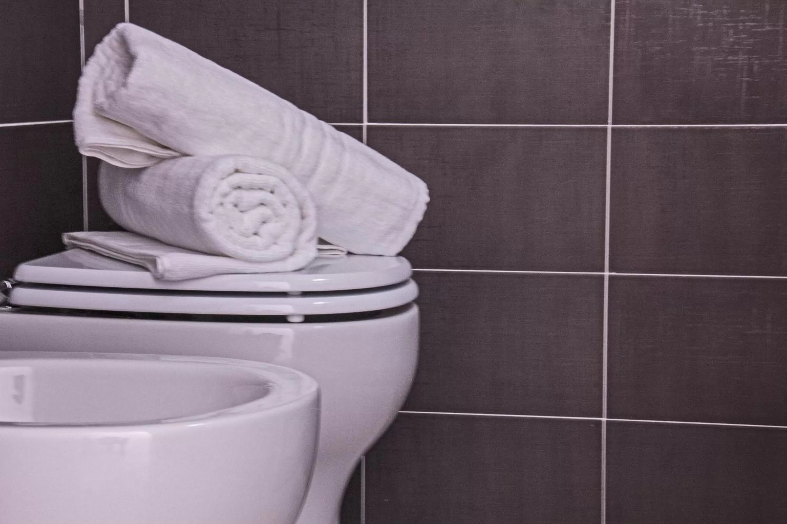 Bathroom in Domus Raffaello