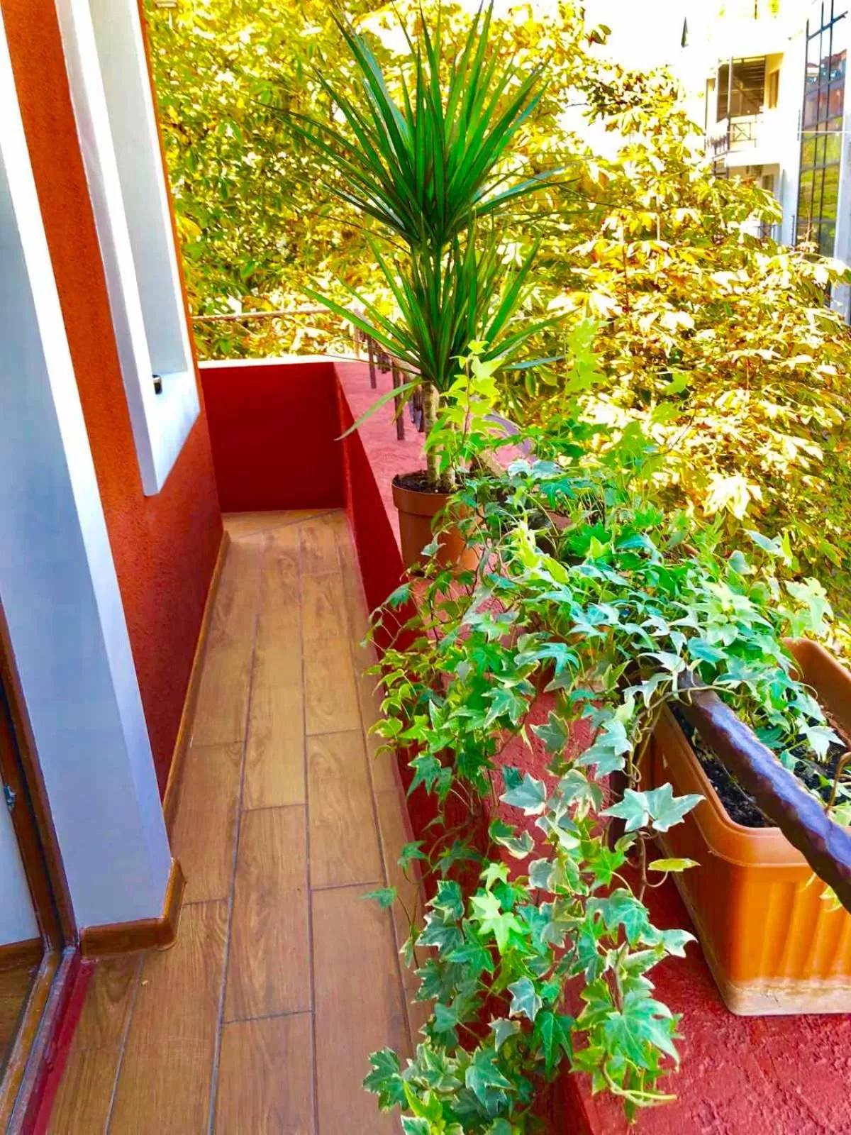 Balcony/Terrace in Hotel British House