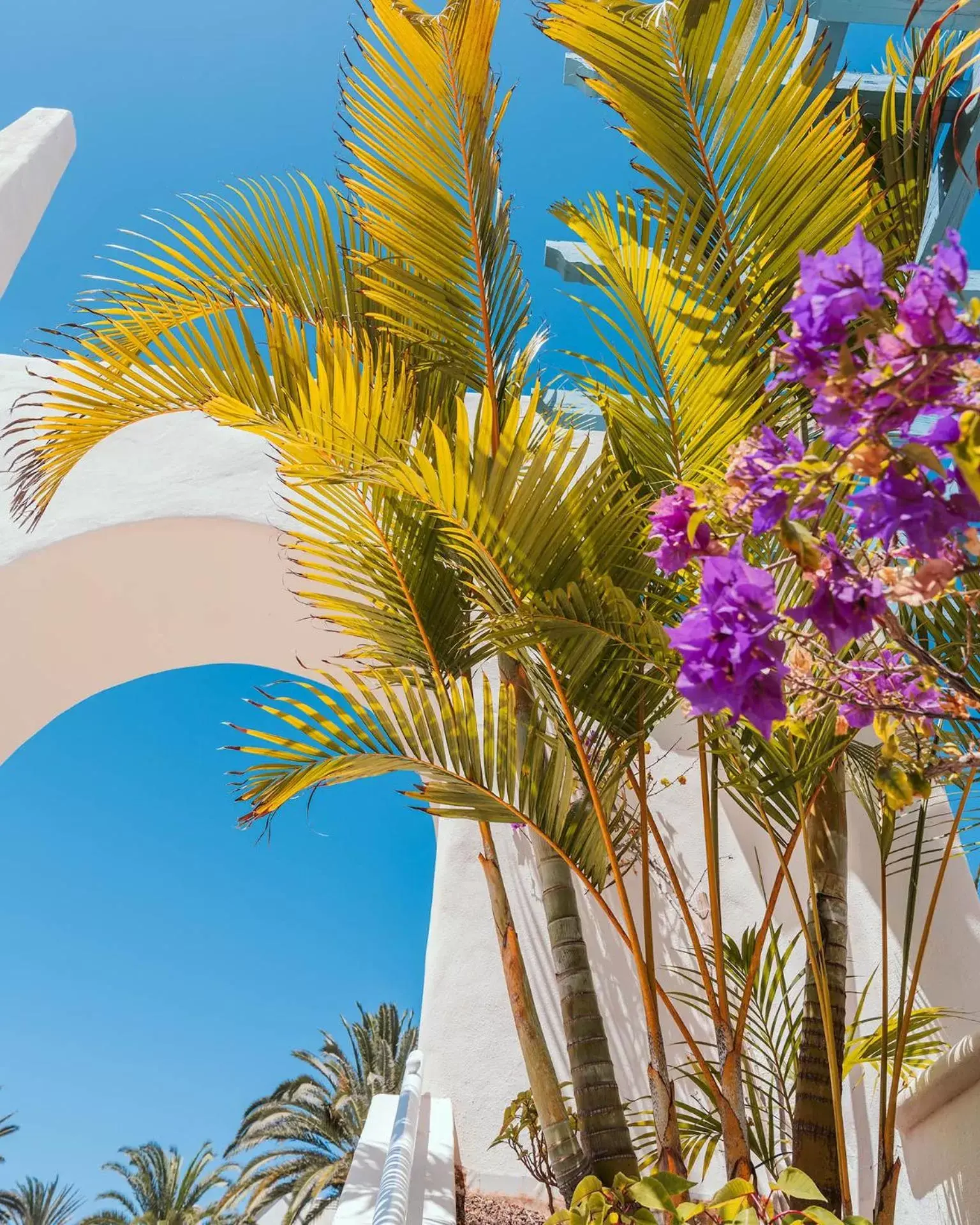 Balcony/Terrace in Alua Suites Fuerteventura - All Inclusive