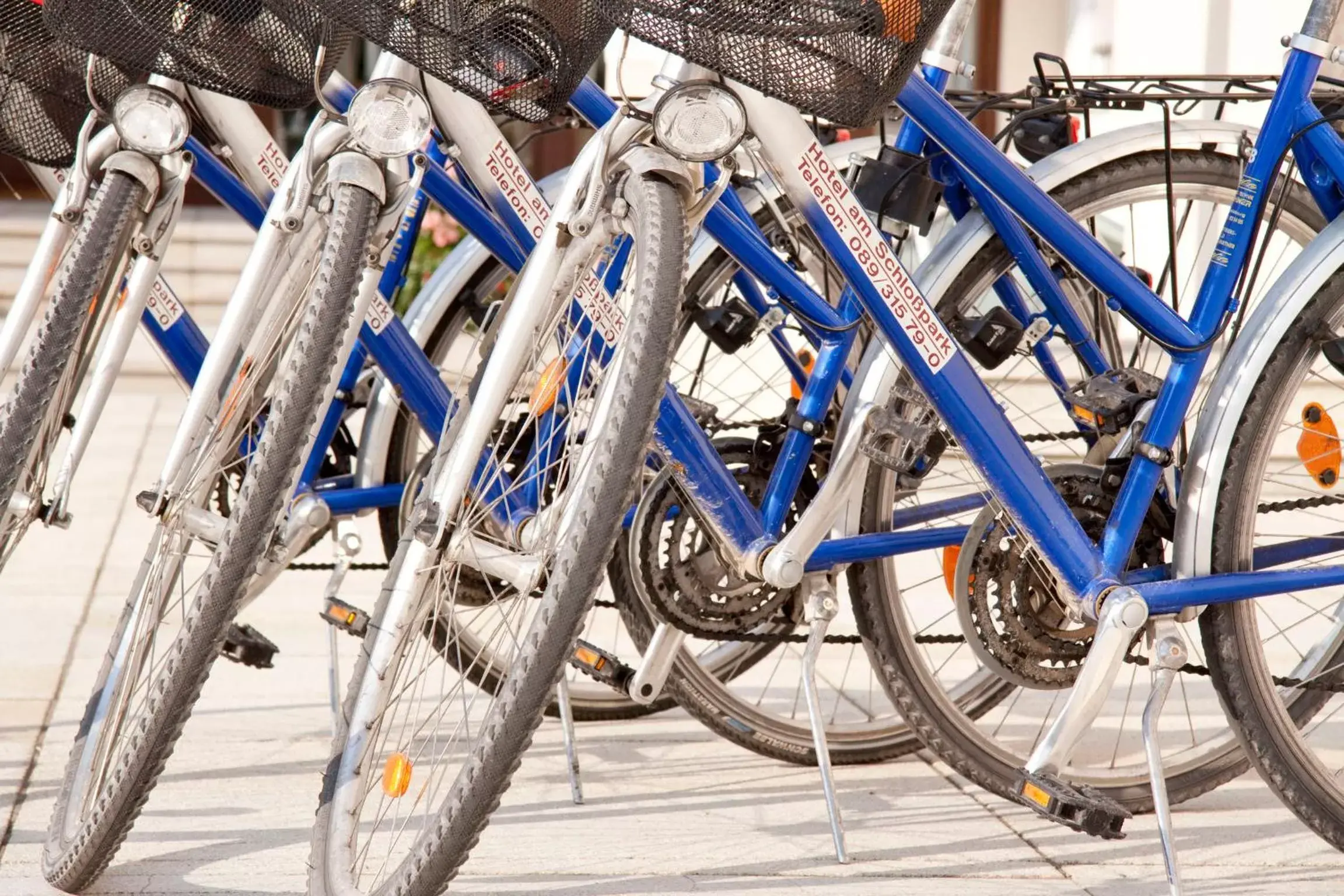 Cycling, Biking in Hotel am Schlosspark Zum Kurfürst