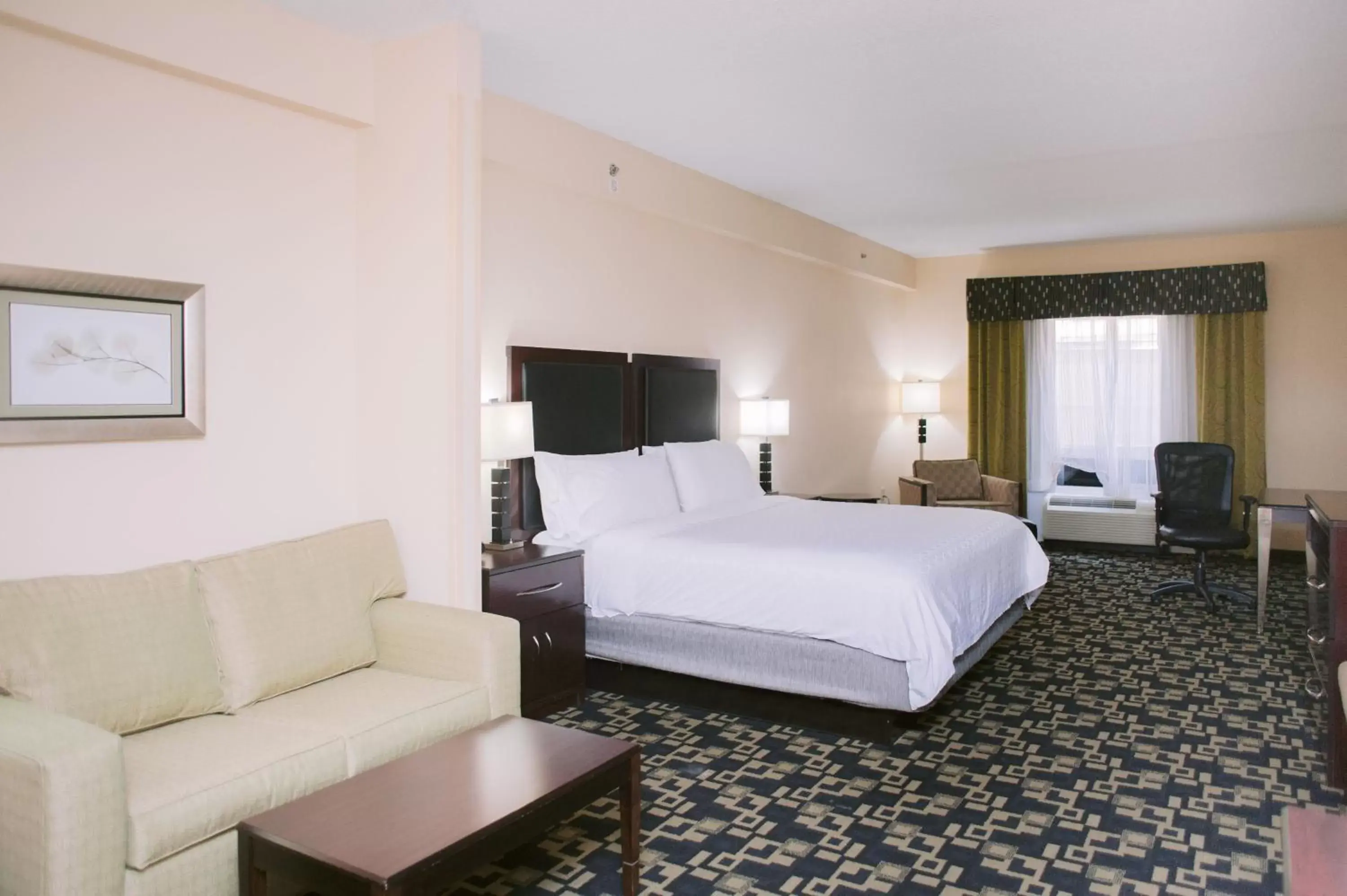 King Suite in Holiday Inn Express Hotel Raleigh Southwest, an IHG Hotel