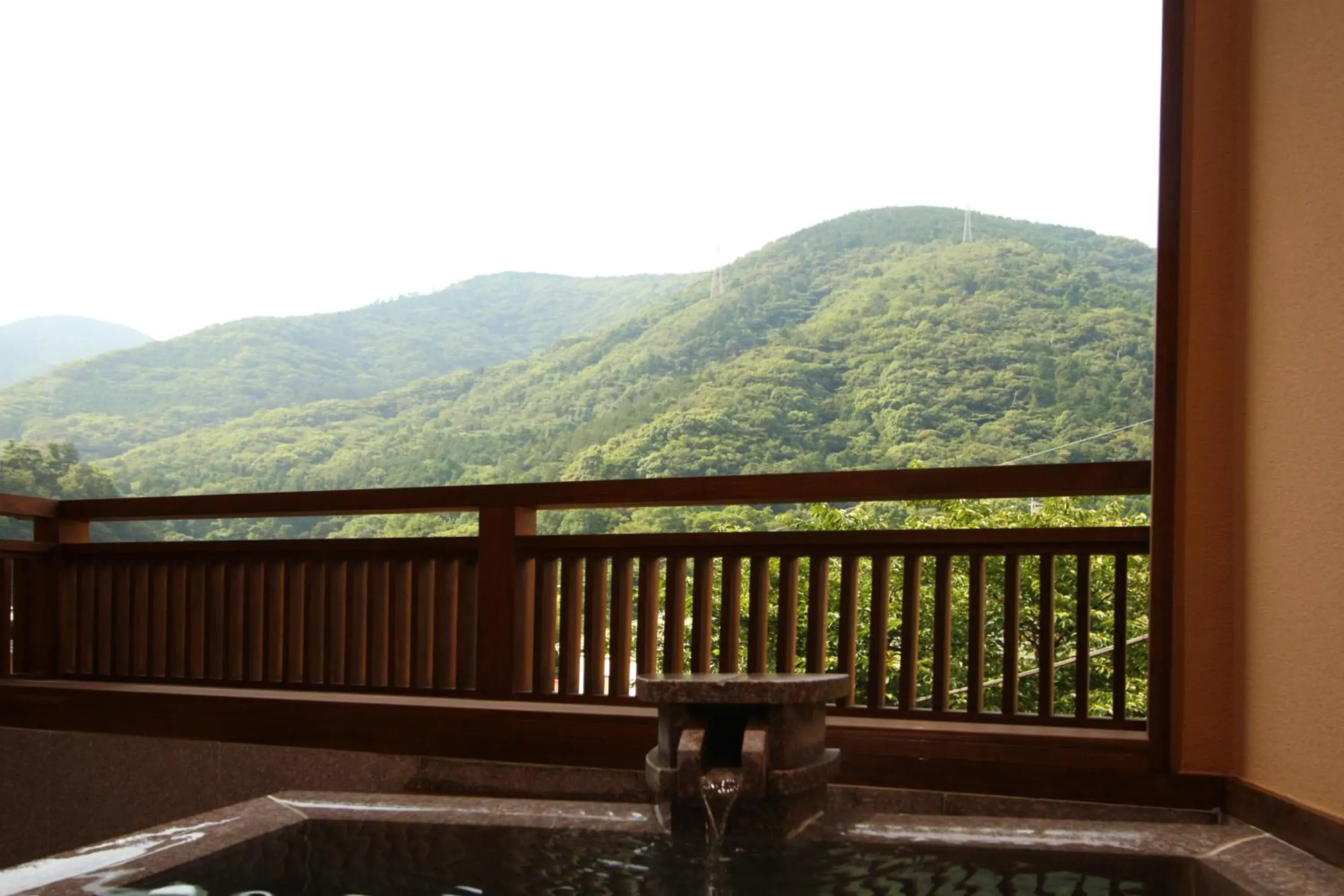 View (from property/room), Mountain View in Hakoneyumoto Onsen Yaeikan
