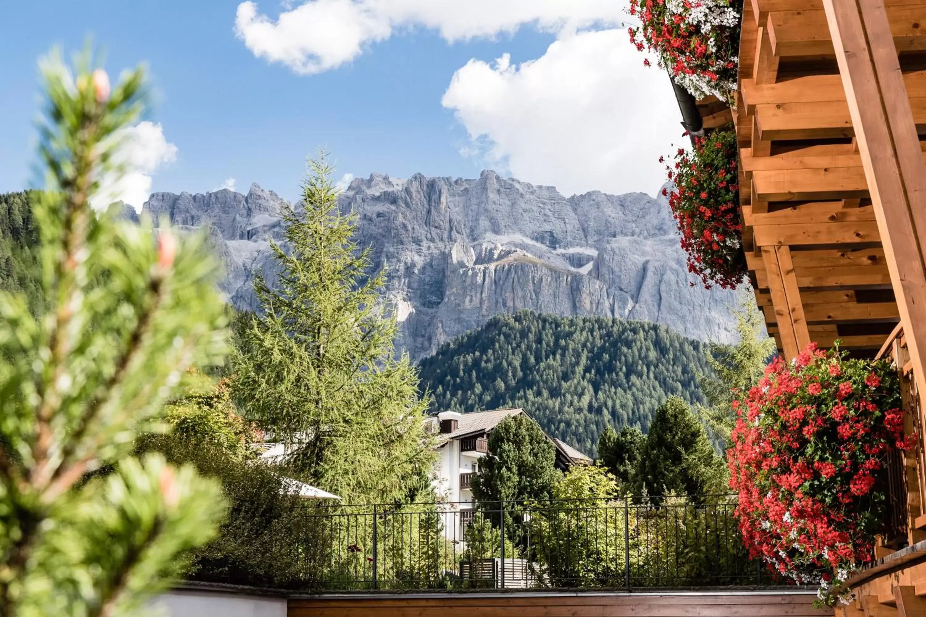 Suite in Boutique Hotel Nives - Luxury & Design in the Dolomites Suite in Boutique Hotel Nives - Luxury & Design in the Dolomites