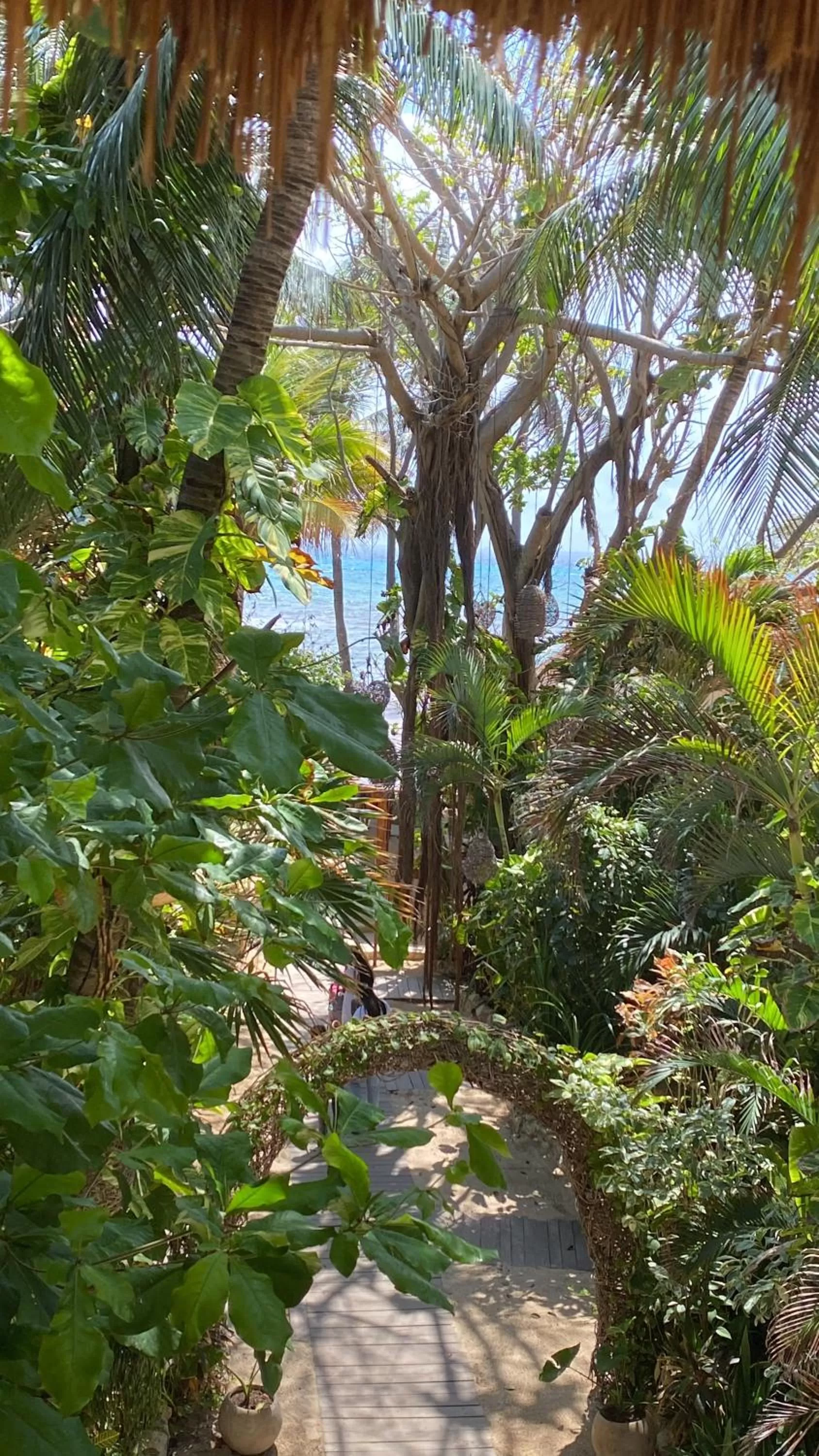 Superior Twin Room with Sea View in Hotel Casa Colibri