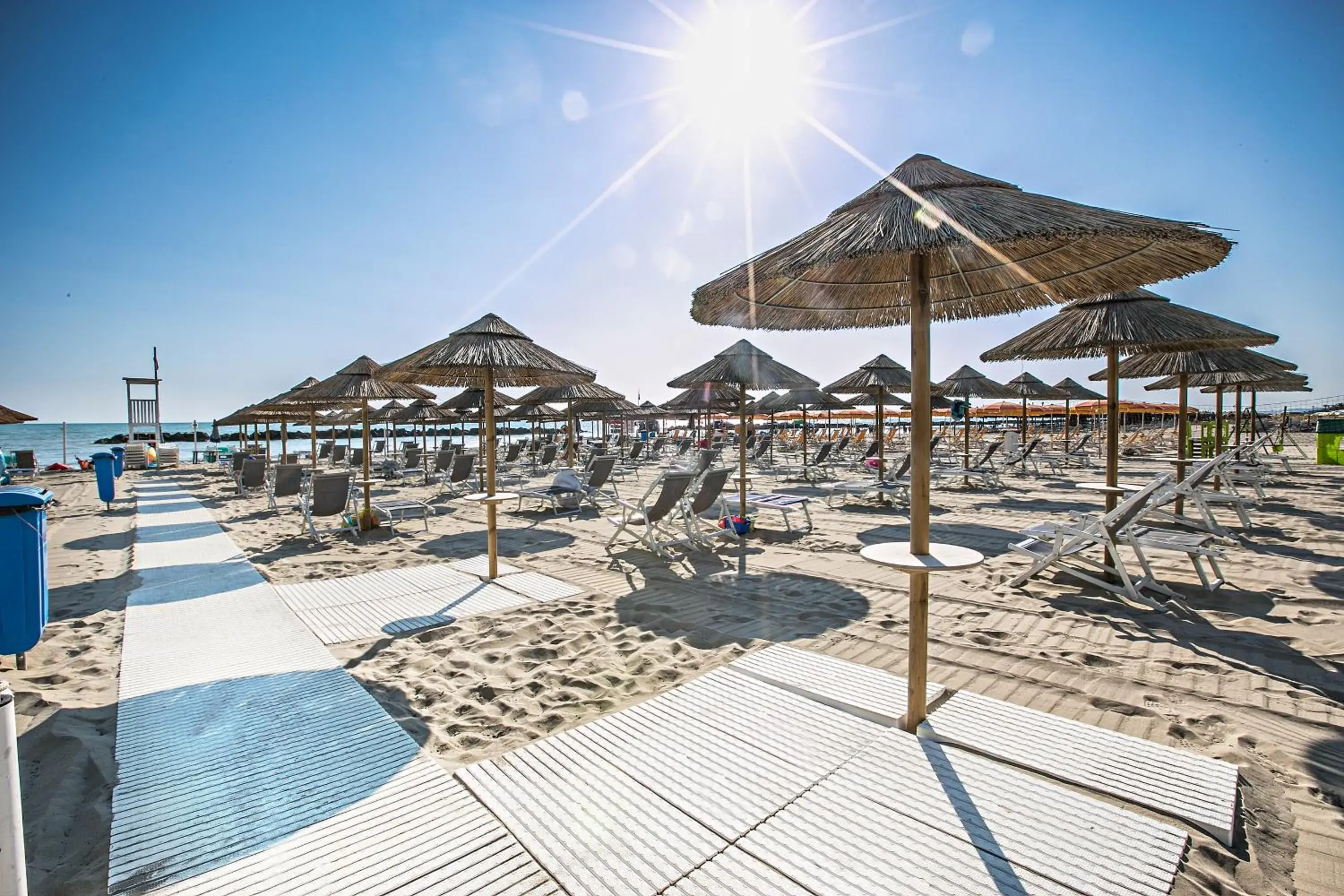 Beach in Sea Lion Hotel