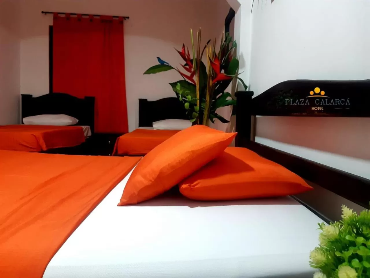 Hotel Plaza Calarcá