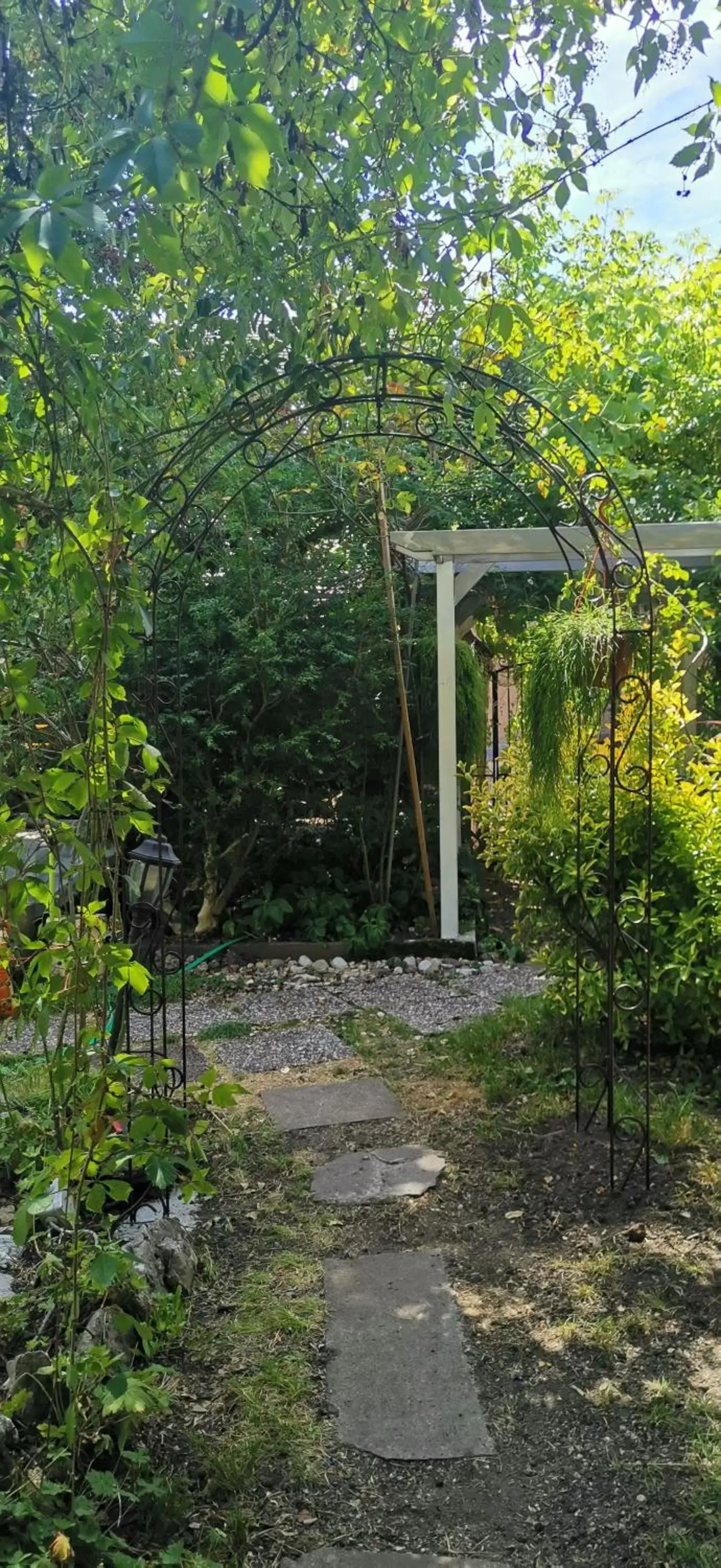 Garden in Hotel Régina