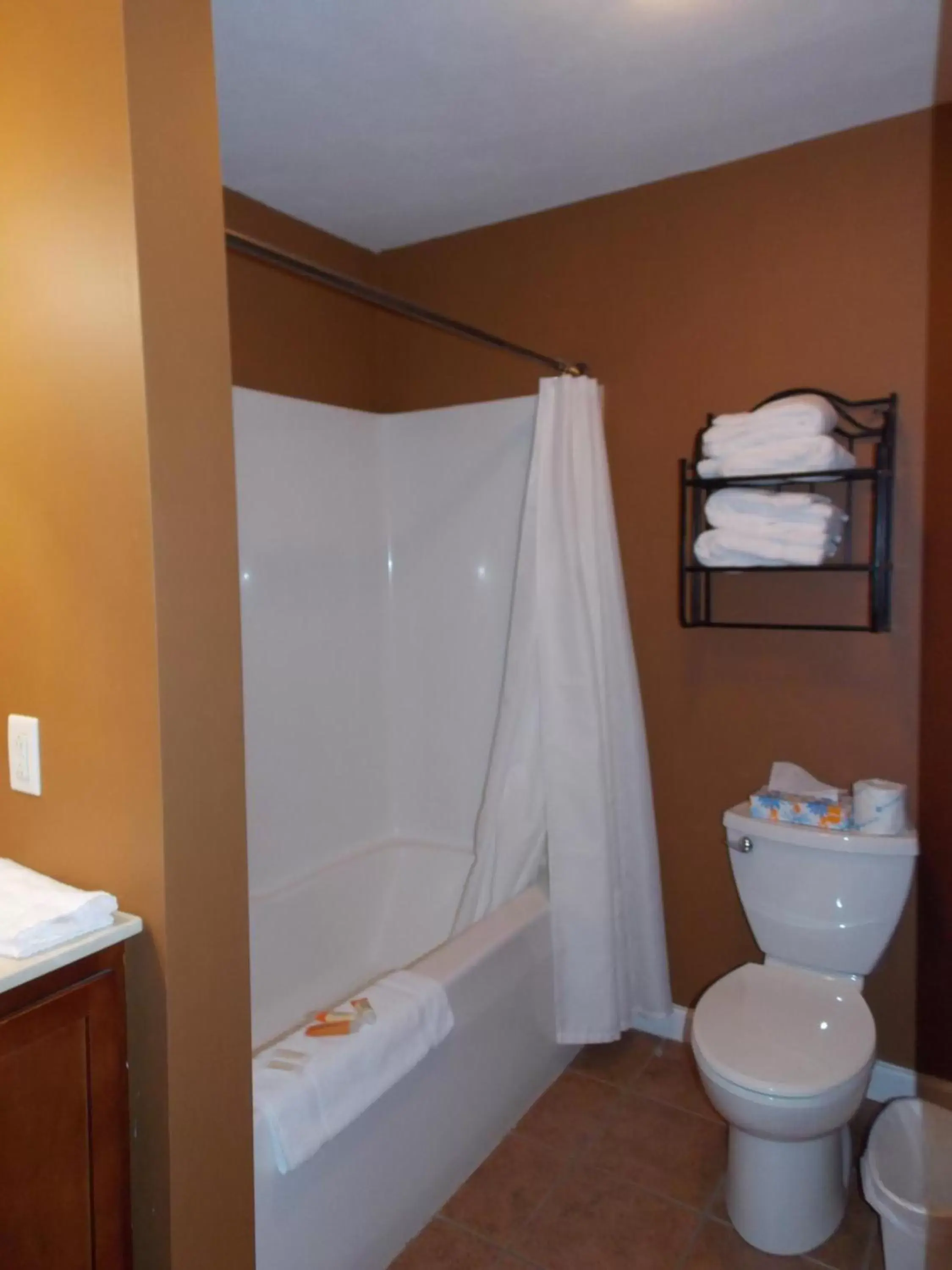 Shower, Bathroom in William Watson Hotel
