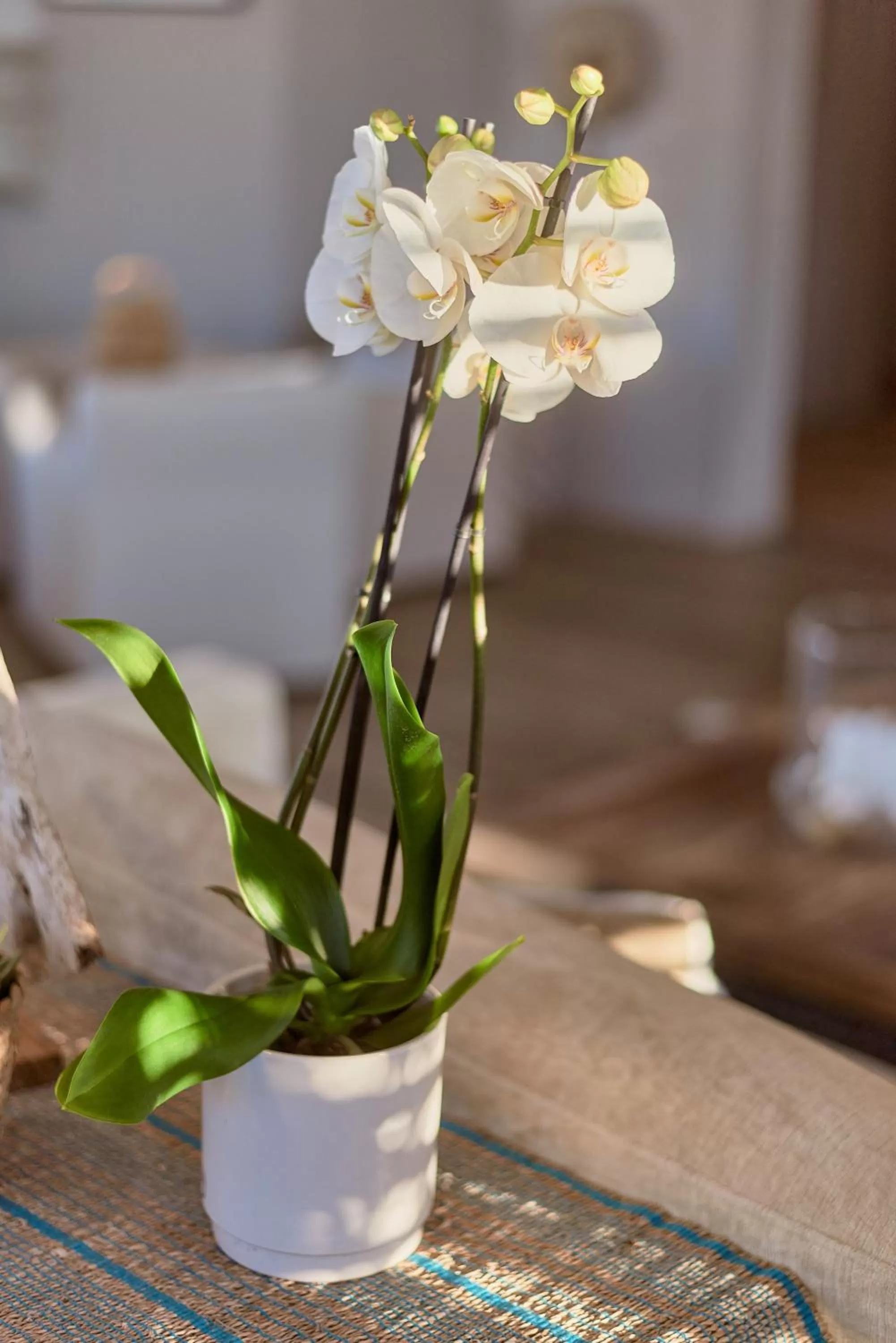 Decorative detail in Villa L'Arche