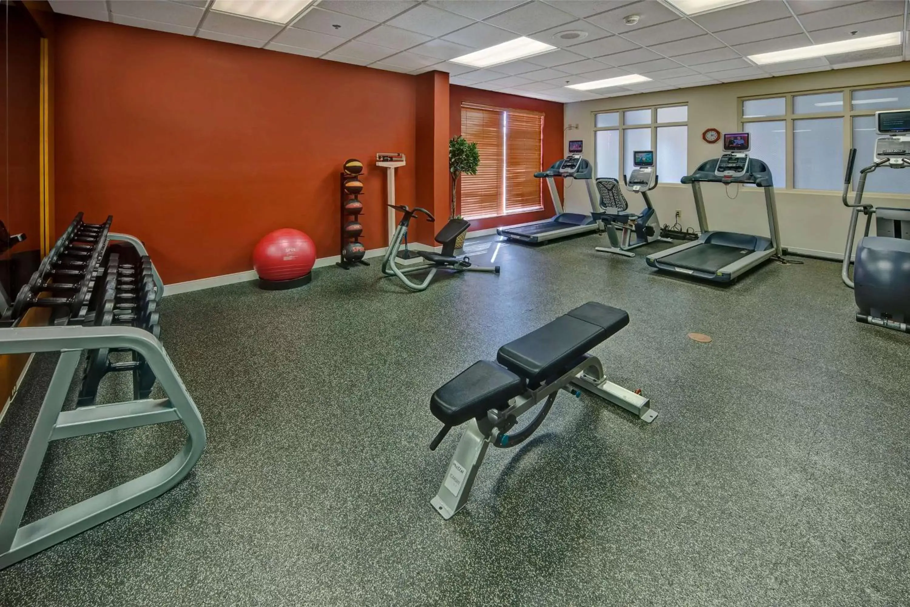 Fitness centre/facilities, Fitness Center/Facilities in Hilton Garden Inn Indianapolis Northeast/Fishers