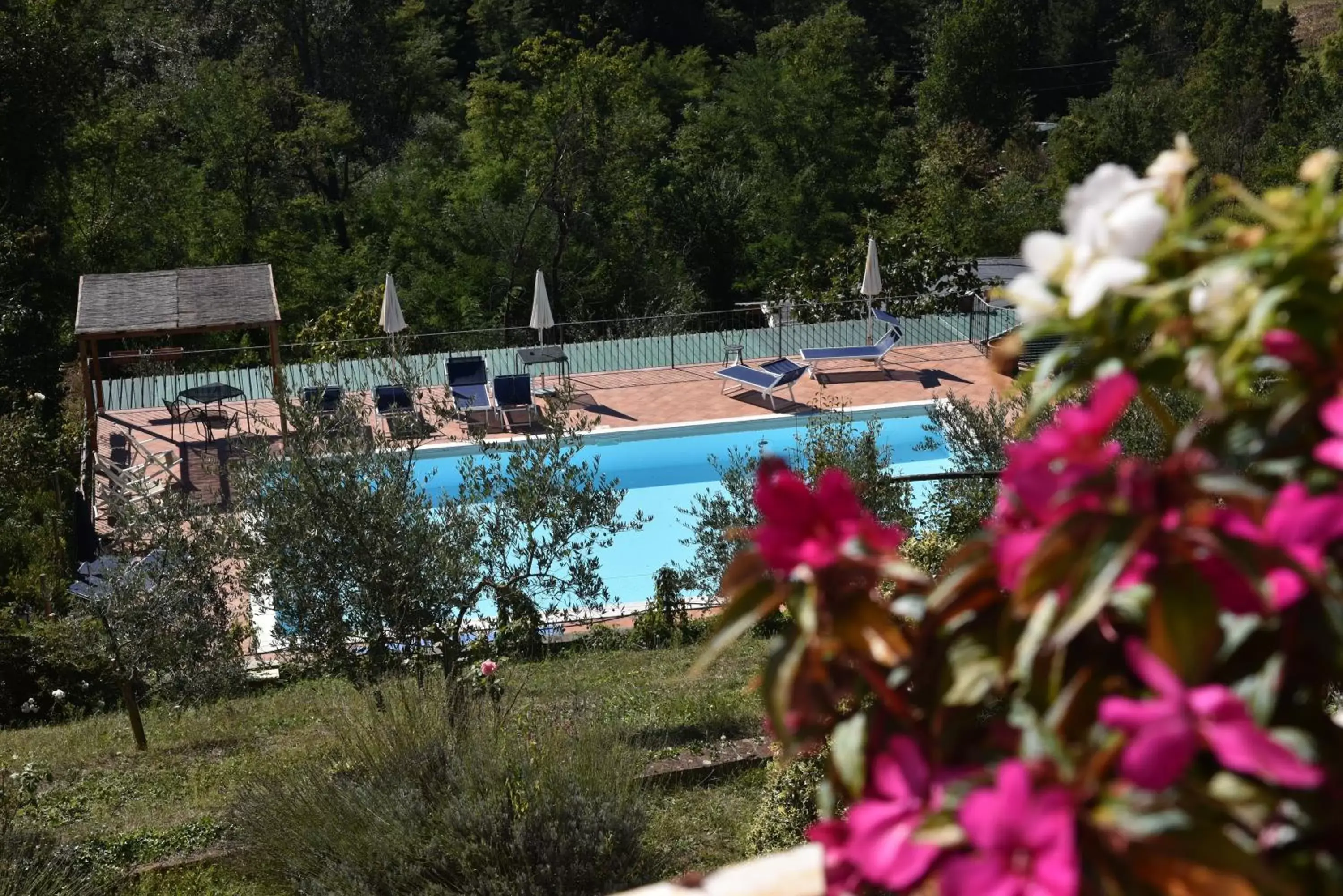 Swimming pool, Pool View in Villa Belvedere