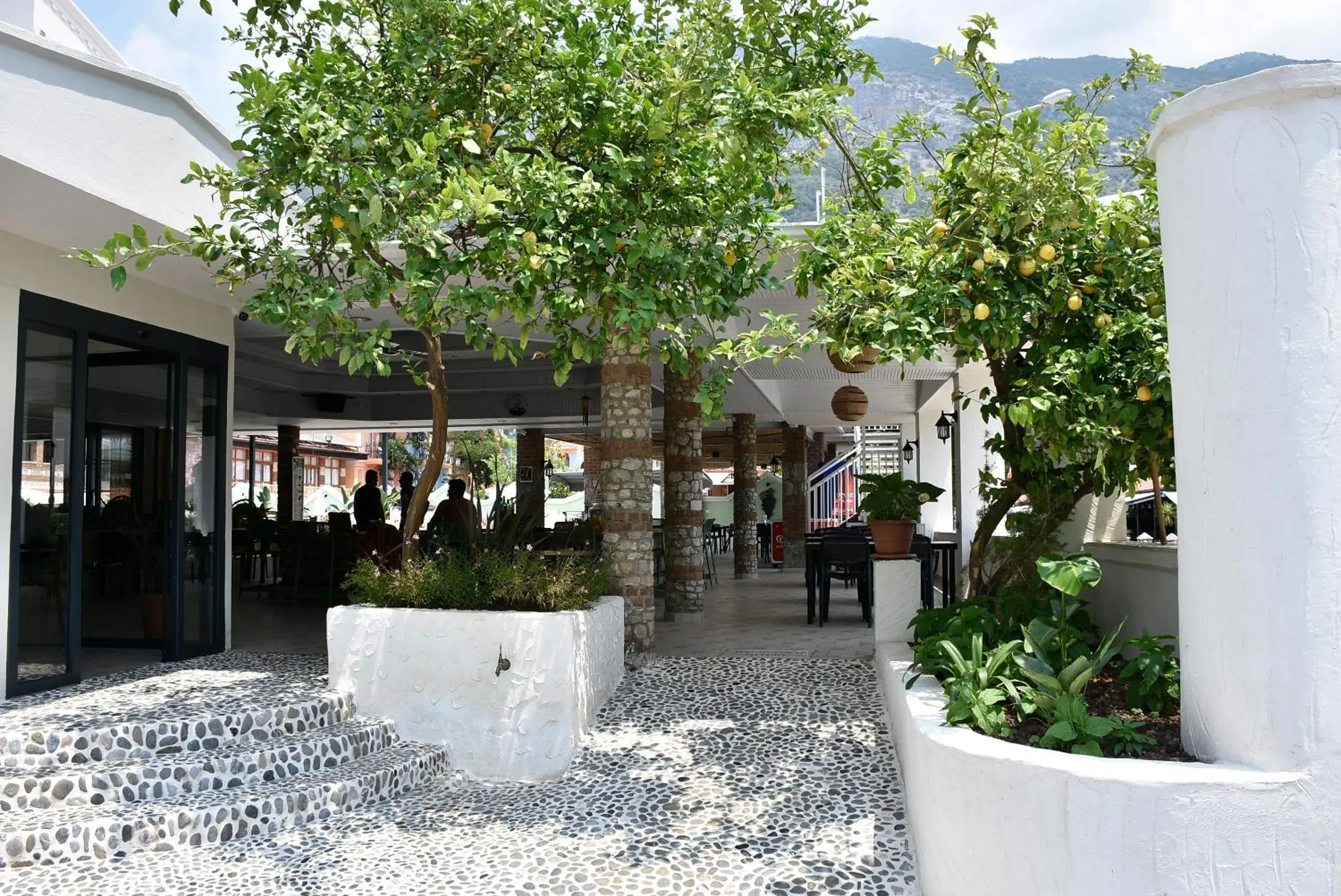 Facade/entrance in Magic Tulip Hotel