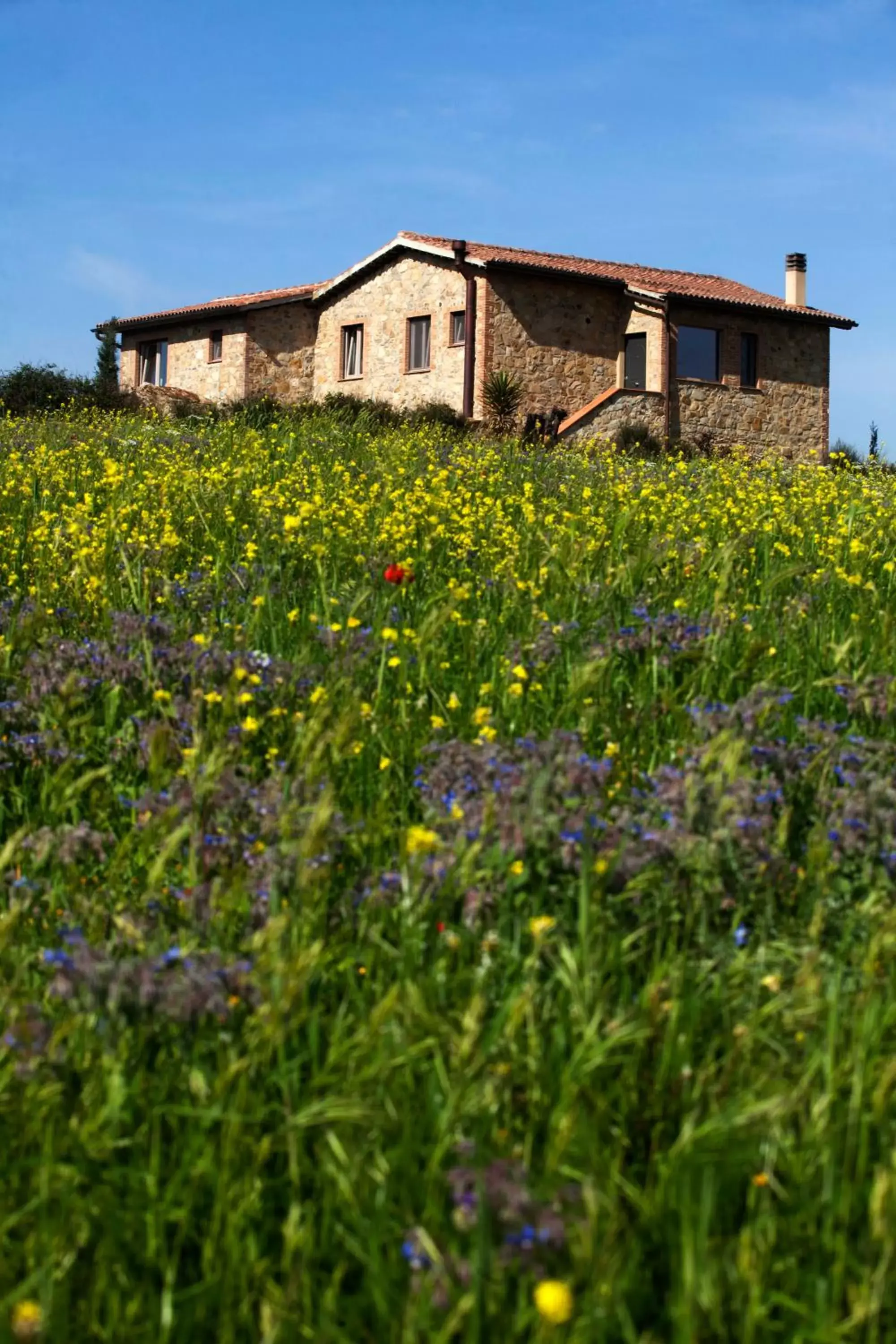 Other, Property Building in Casale Sterpeti