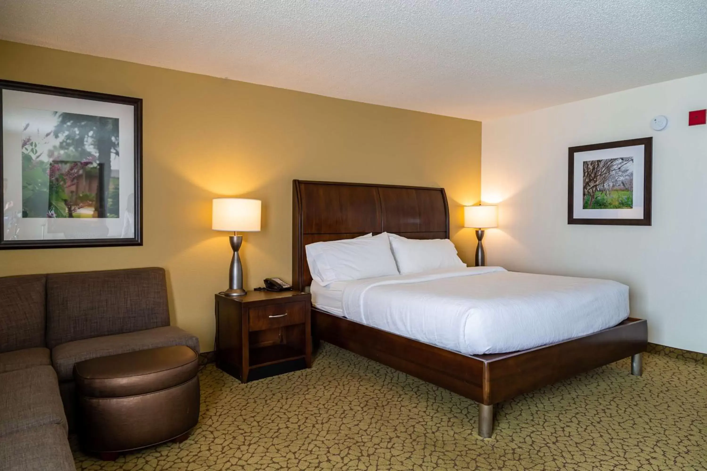 Bed in Hilton Garden Inn Orlando East - UCF Area