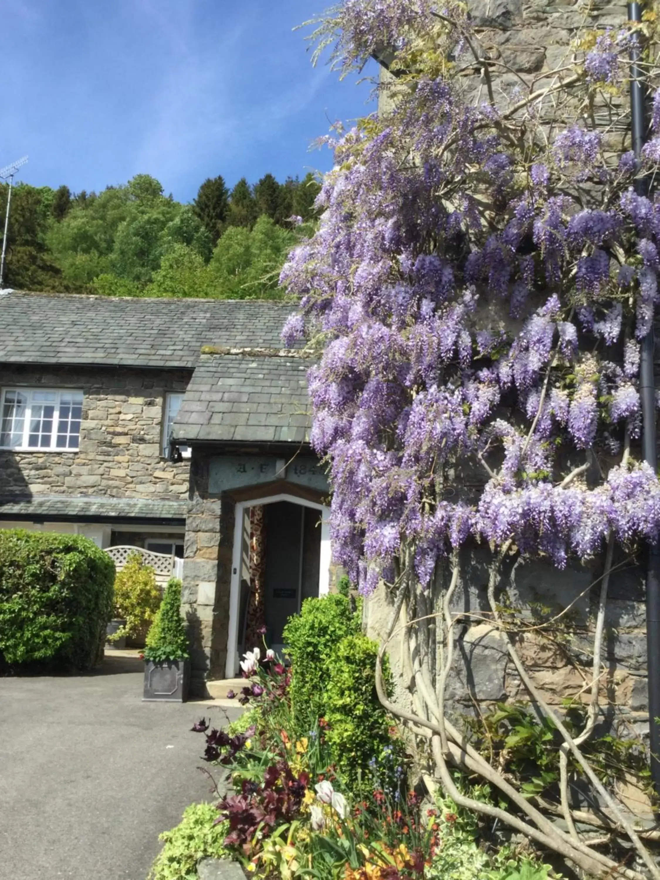 Summer, Property Building in Lyzzick Hall Hotel