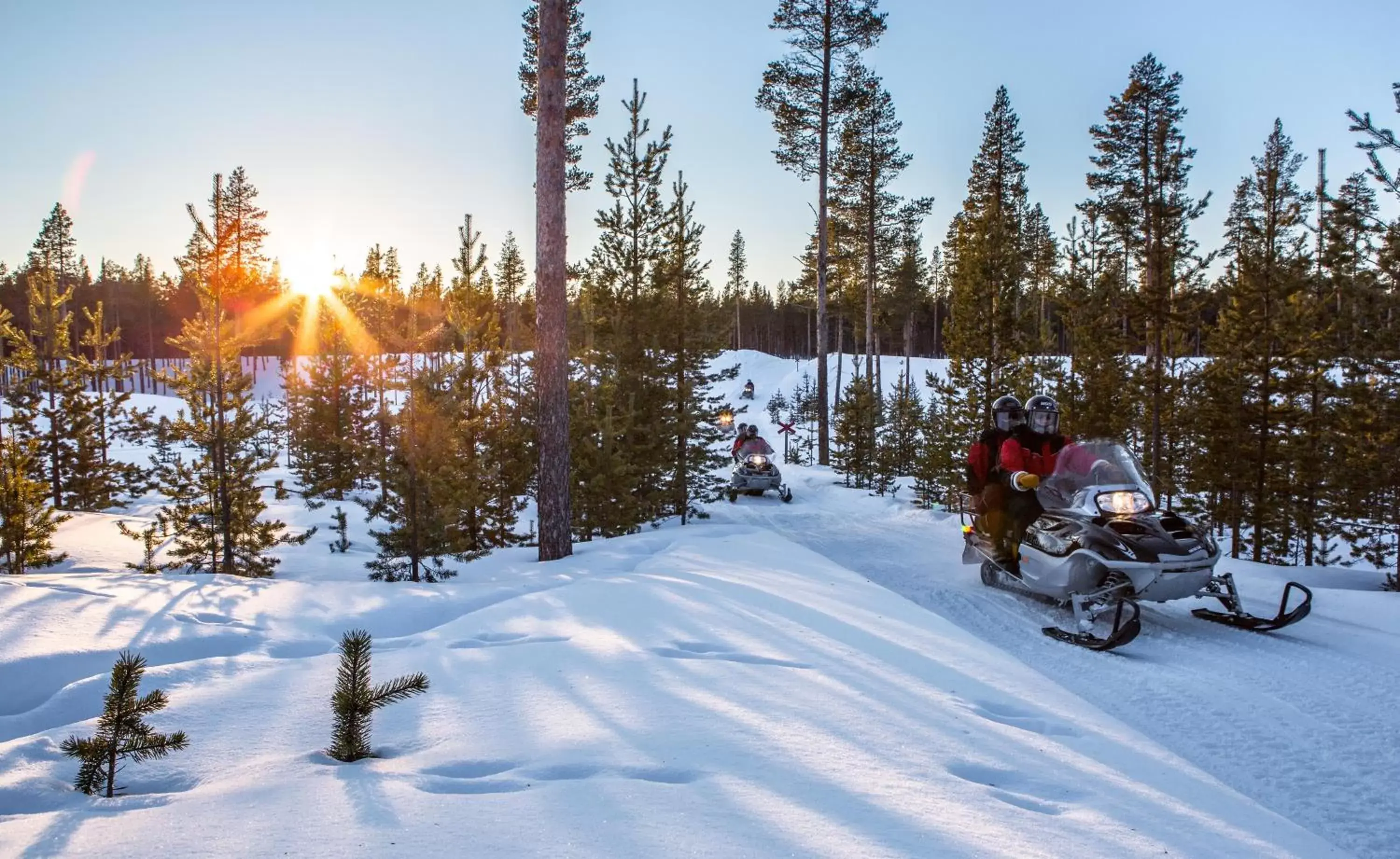 Guests, Winter in Hotel Ivalo