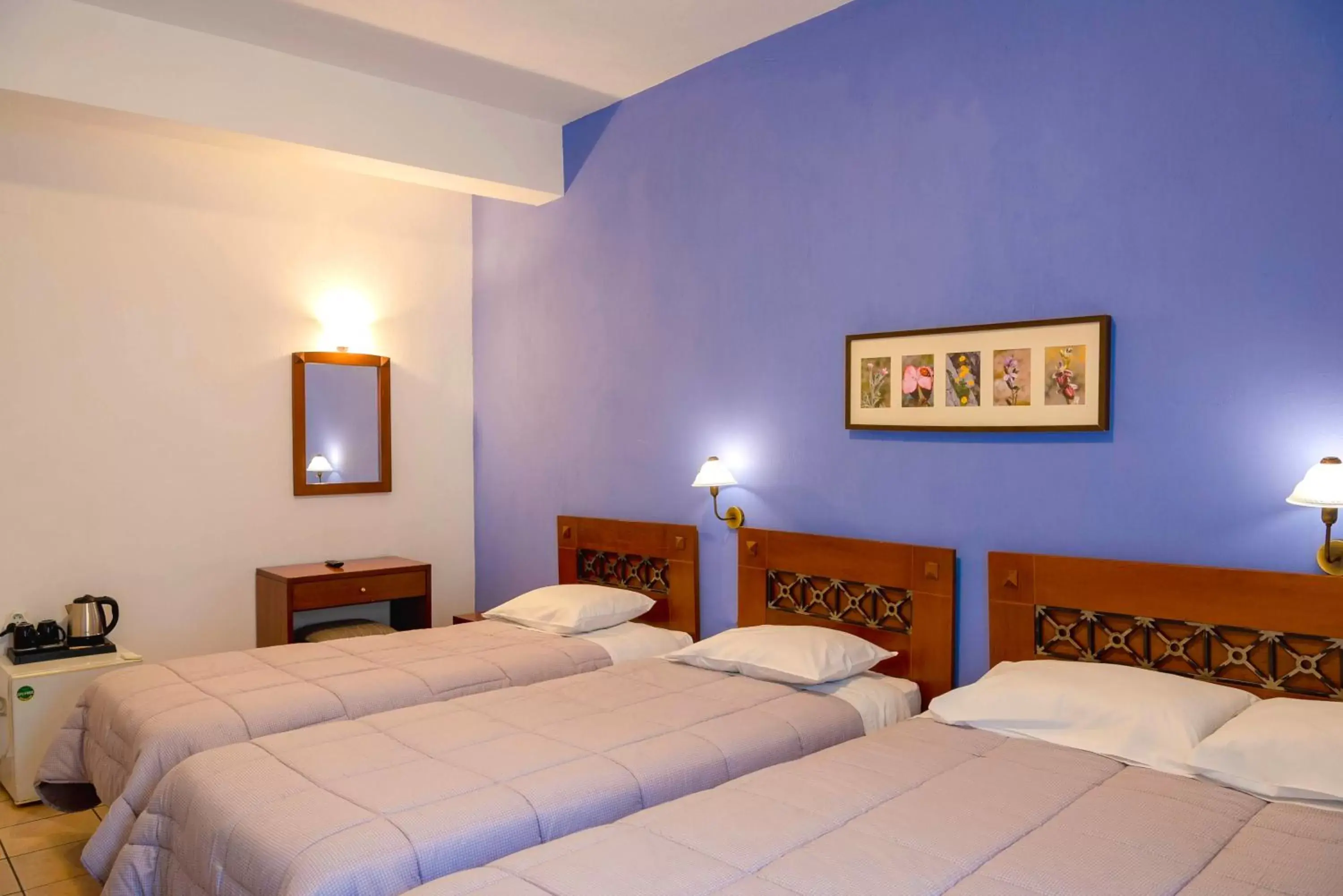 Family Room in Artemis Hotel Family Room in Artemis Hotel