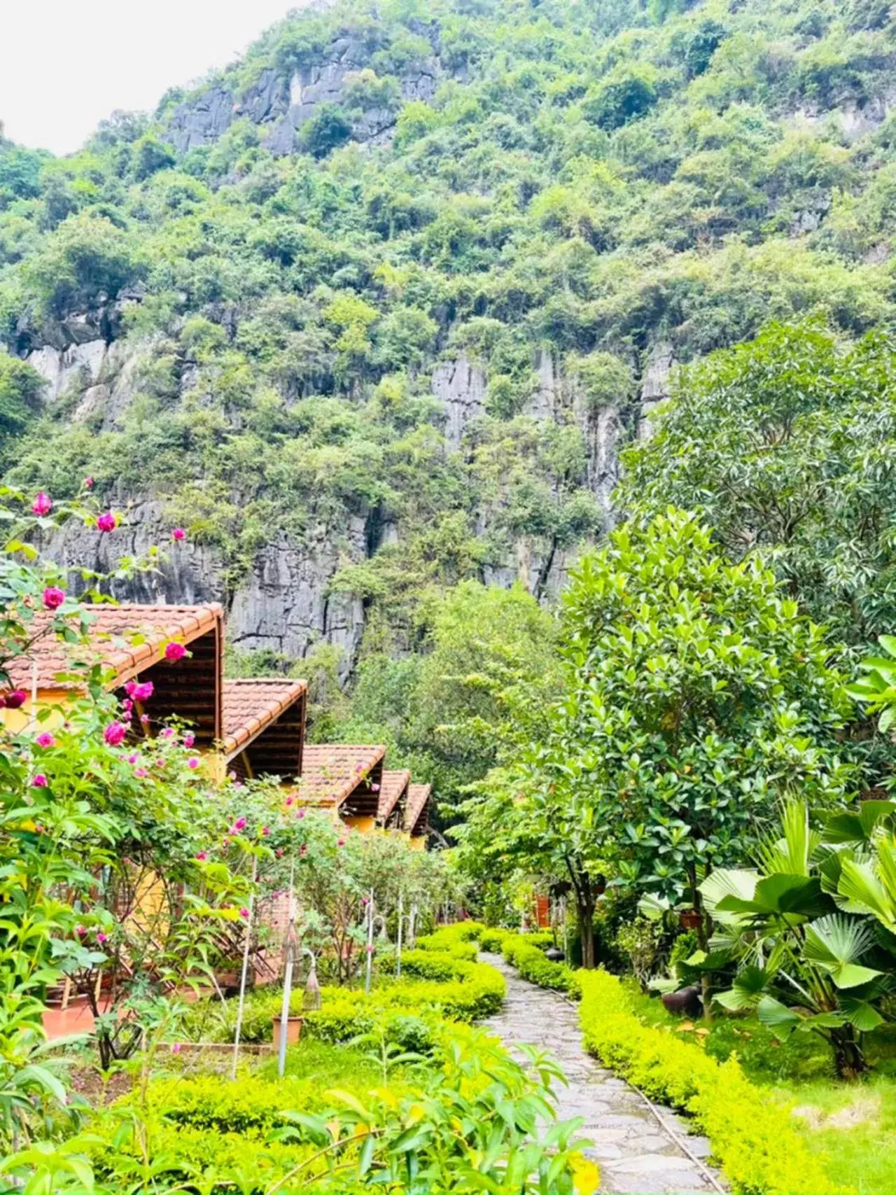 View (from property/room), Natural Landscape in Tam Coc Luxury Homestay