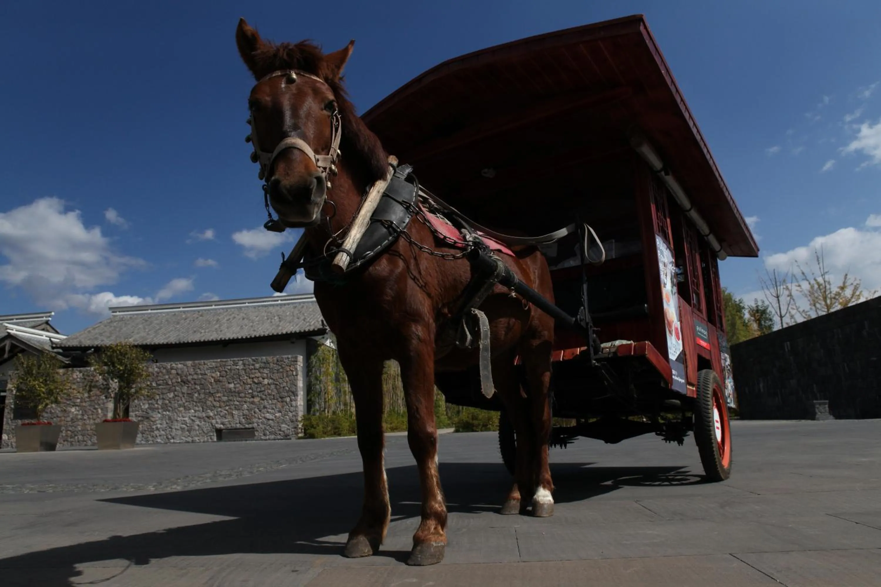 Garden view in Pullman Lijiang Resort & Spa