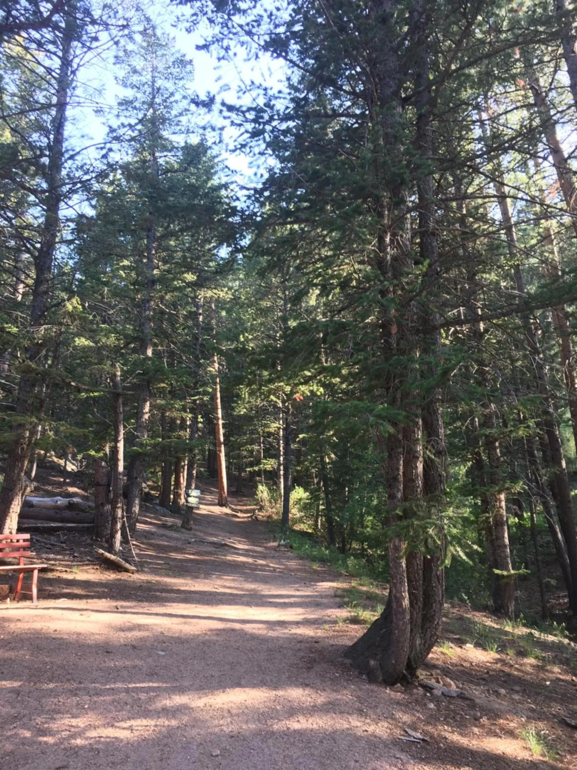 Hiking in Pine Haven Resort