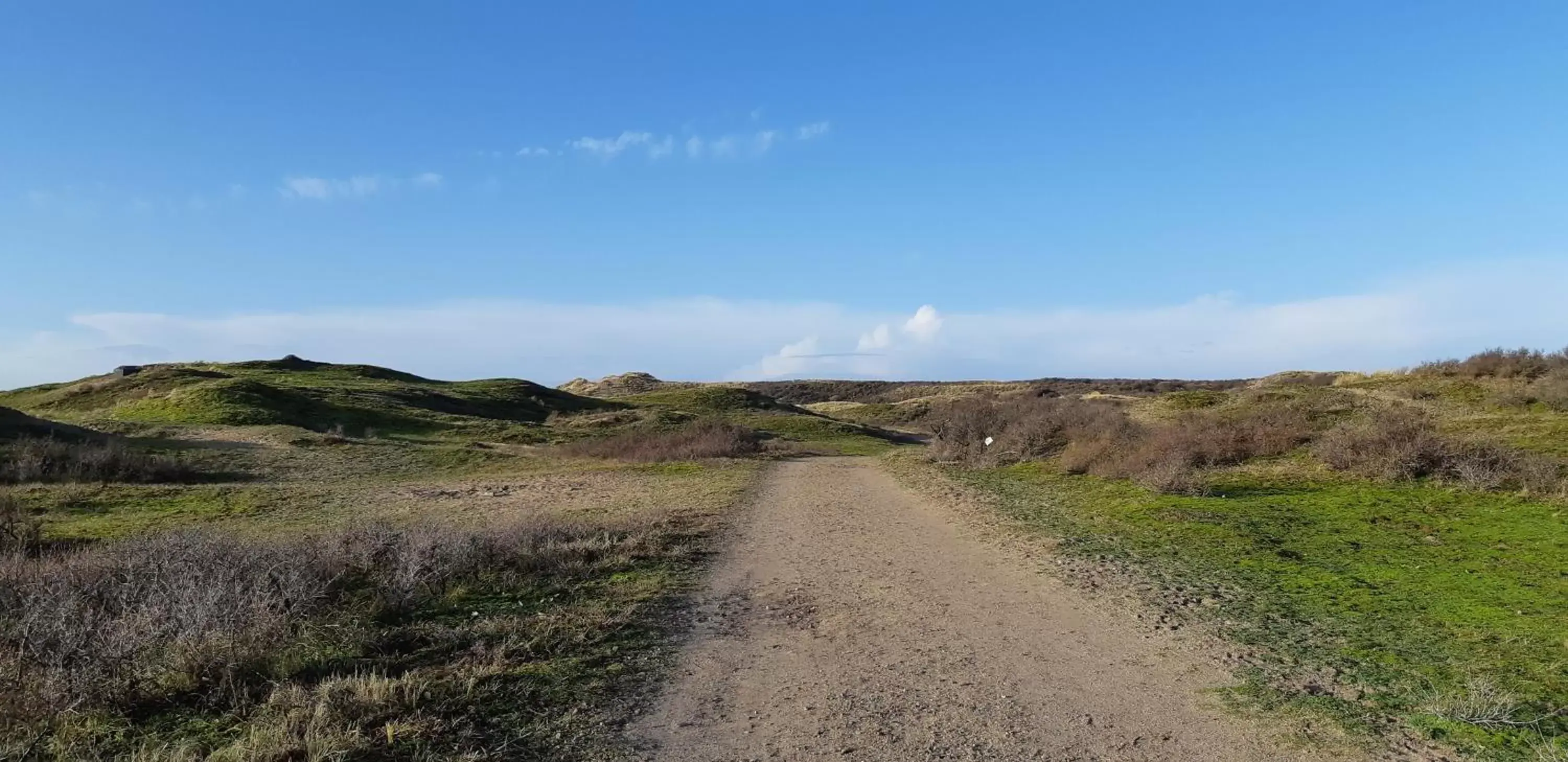 Natural Landscape in B&B Het Ruime Sop