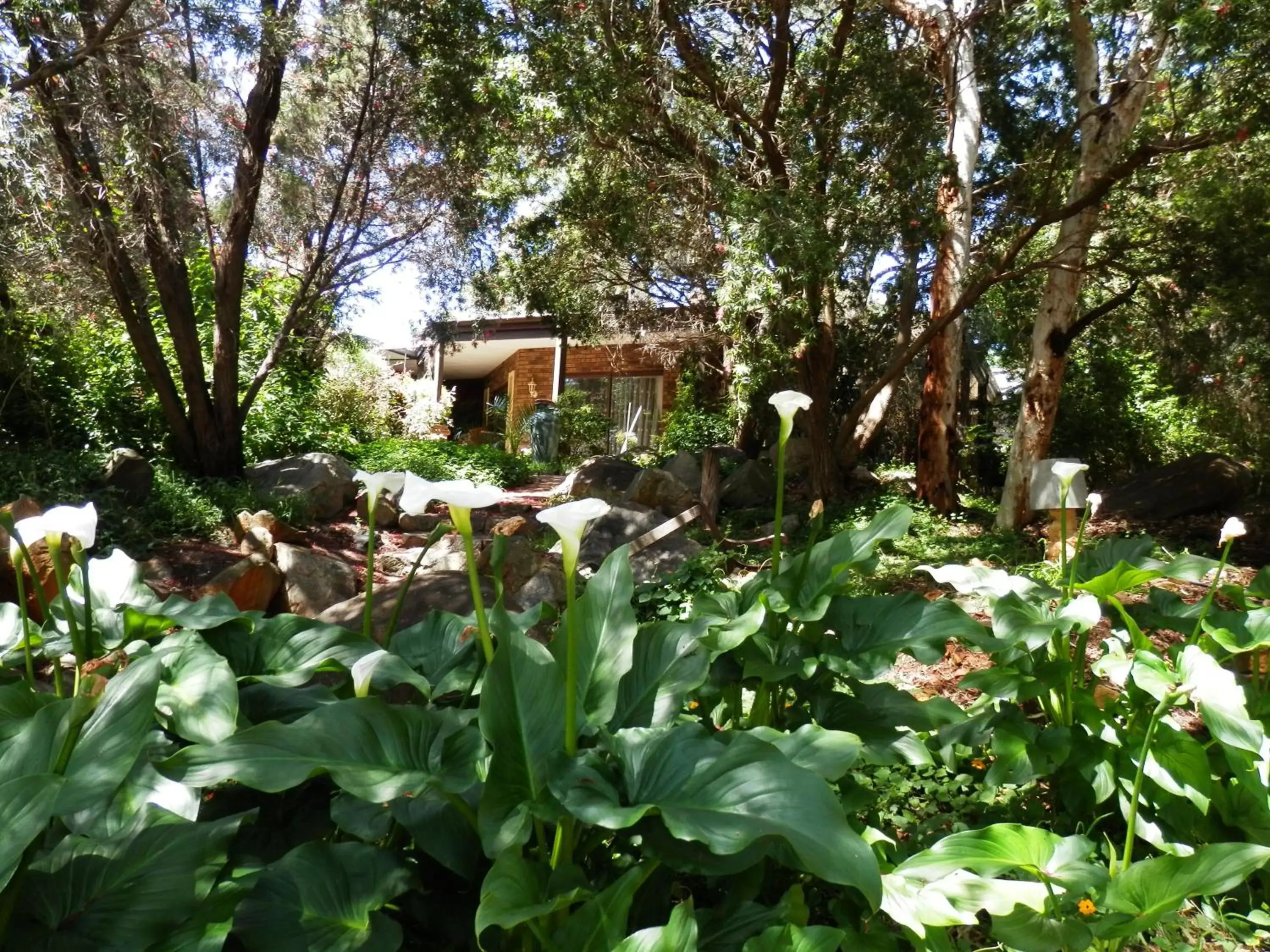 Natural landscape, Garden in The Hideaway Luxury B&B Retreat