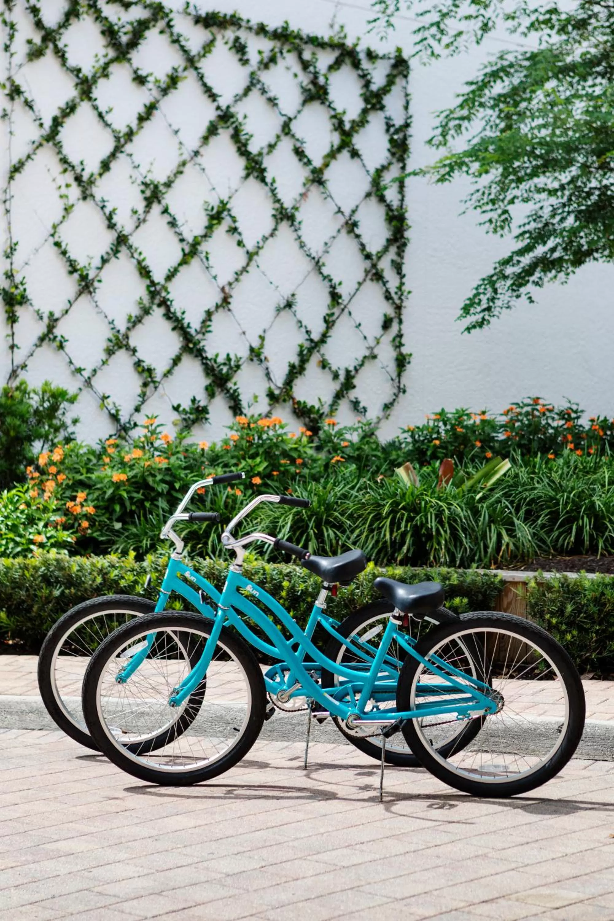 Day in The Capri Inn