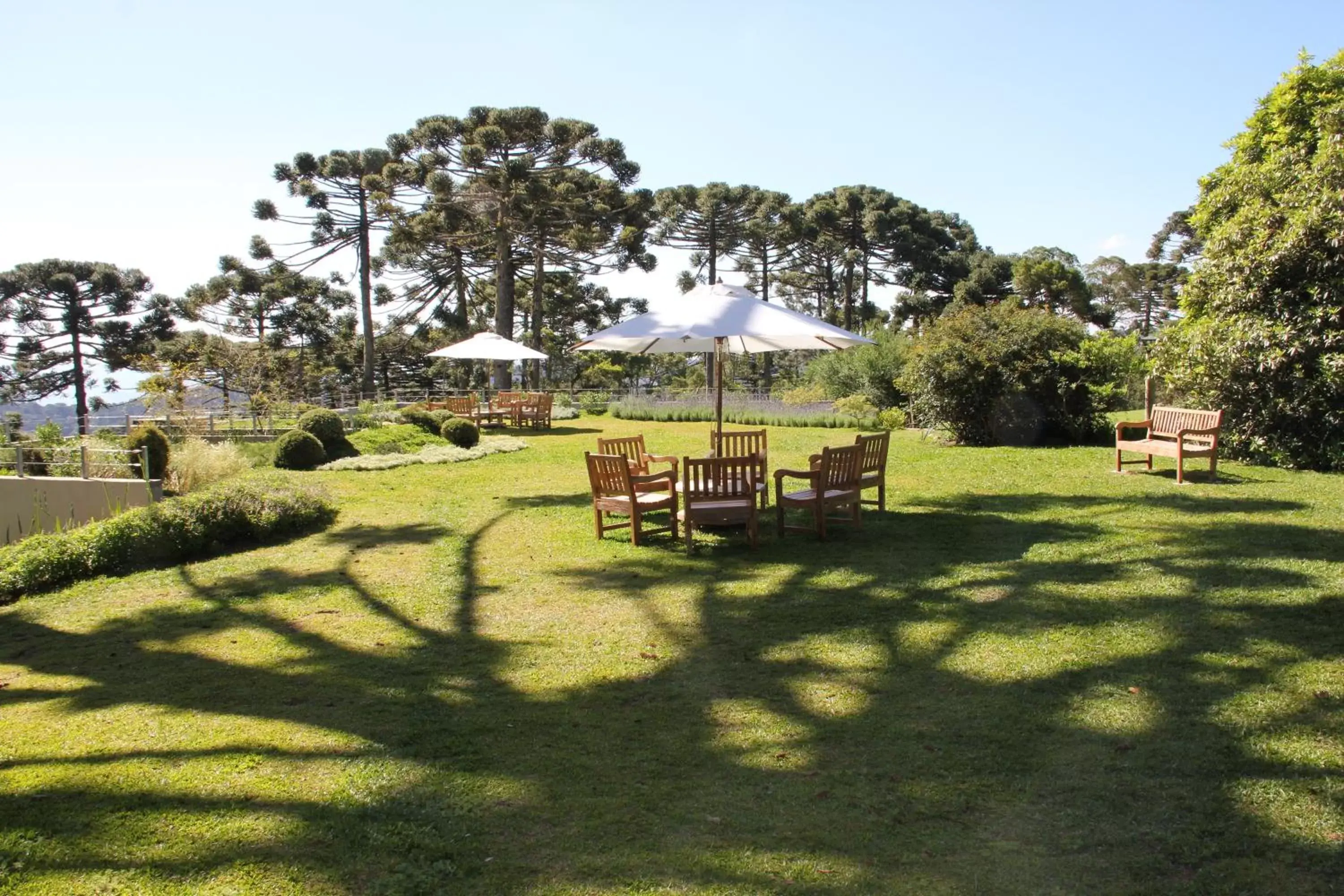 Garden in Hotel Toriba