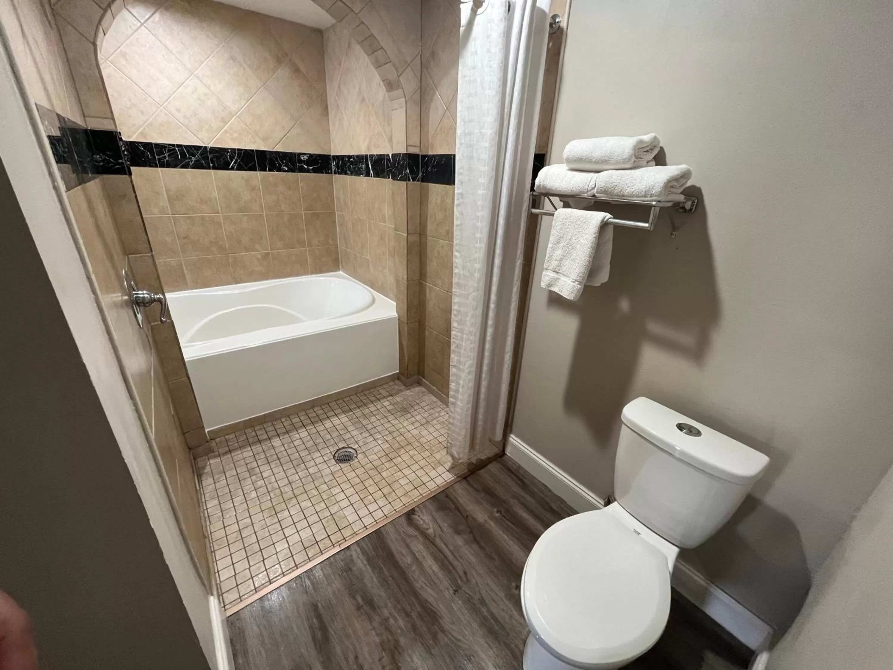 Shower in Econo Lodge Inn & Suites Murfreesboro Shopping District