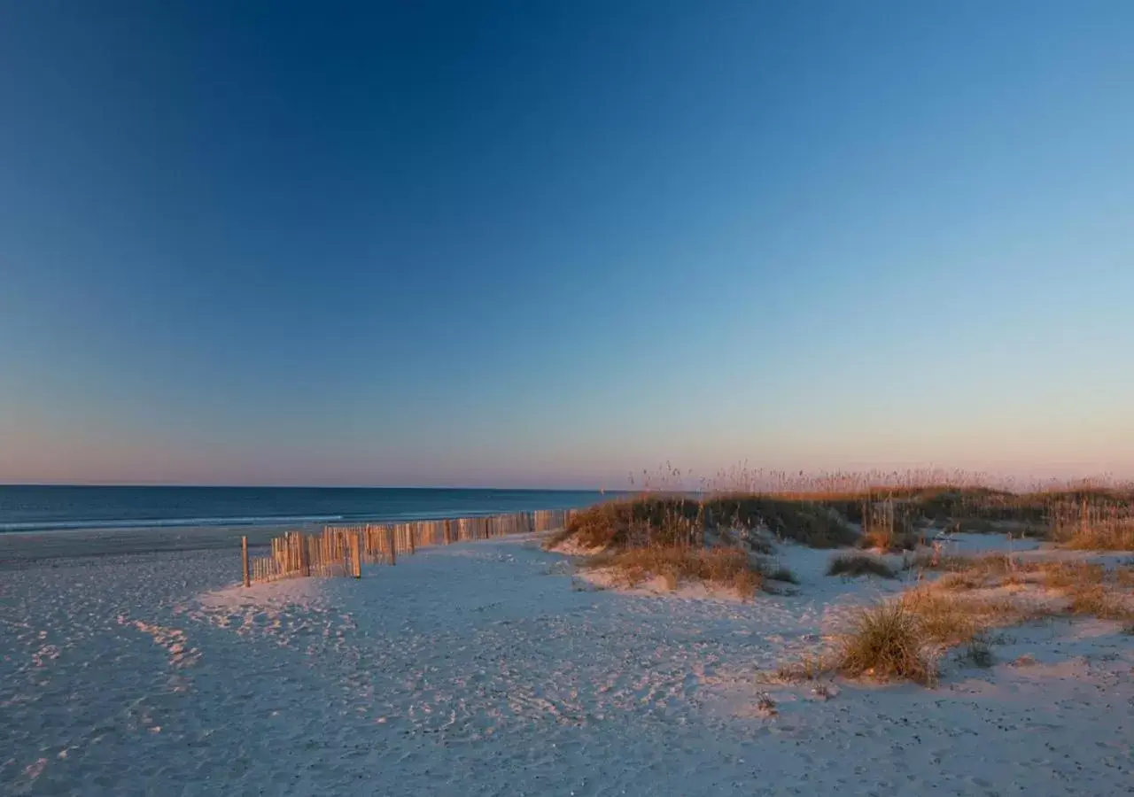 Beach, Natural Landscape in Atlantic Beach Resort, a Ramada by Wyndham