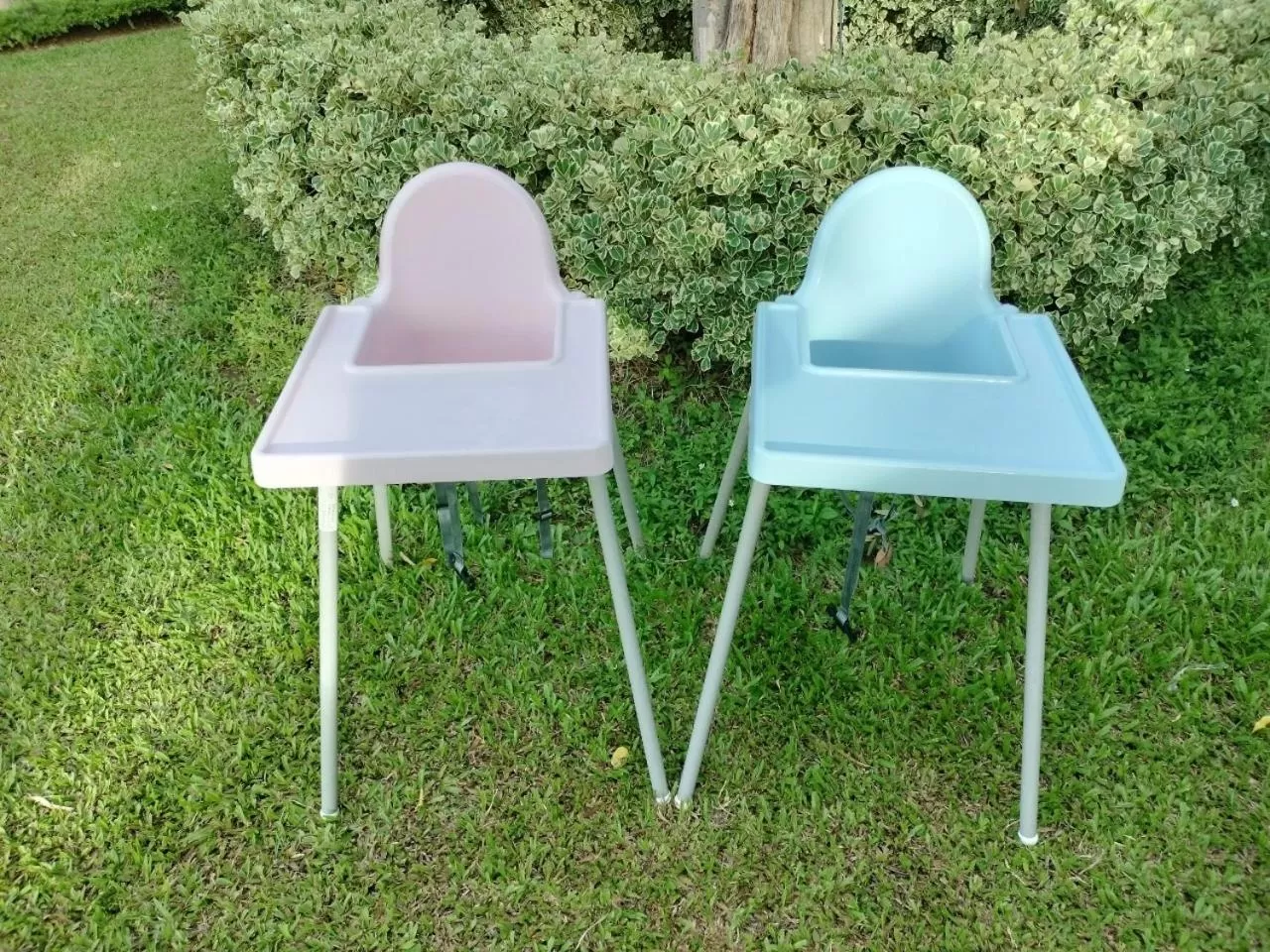 Restaurant/places to eat in The Modeva Hotel