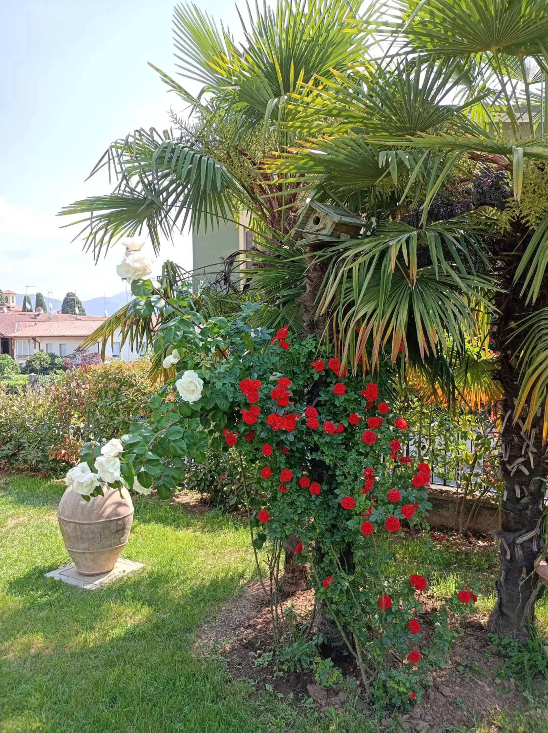 Garden in Riflessi d'Arte