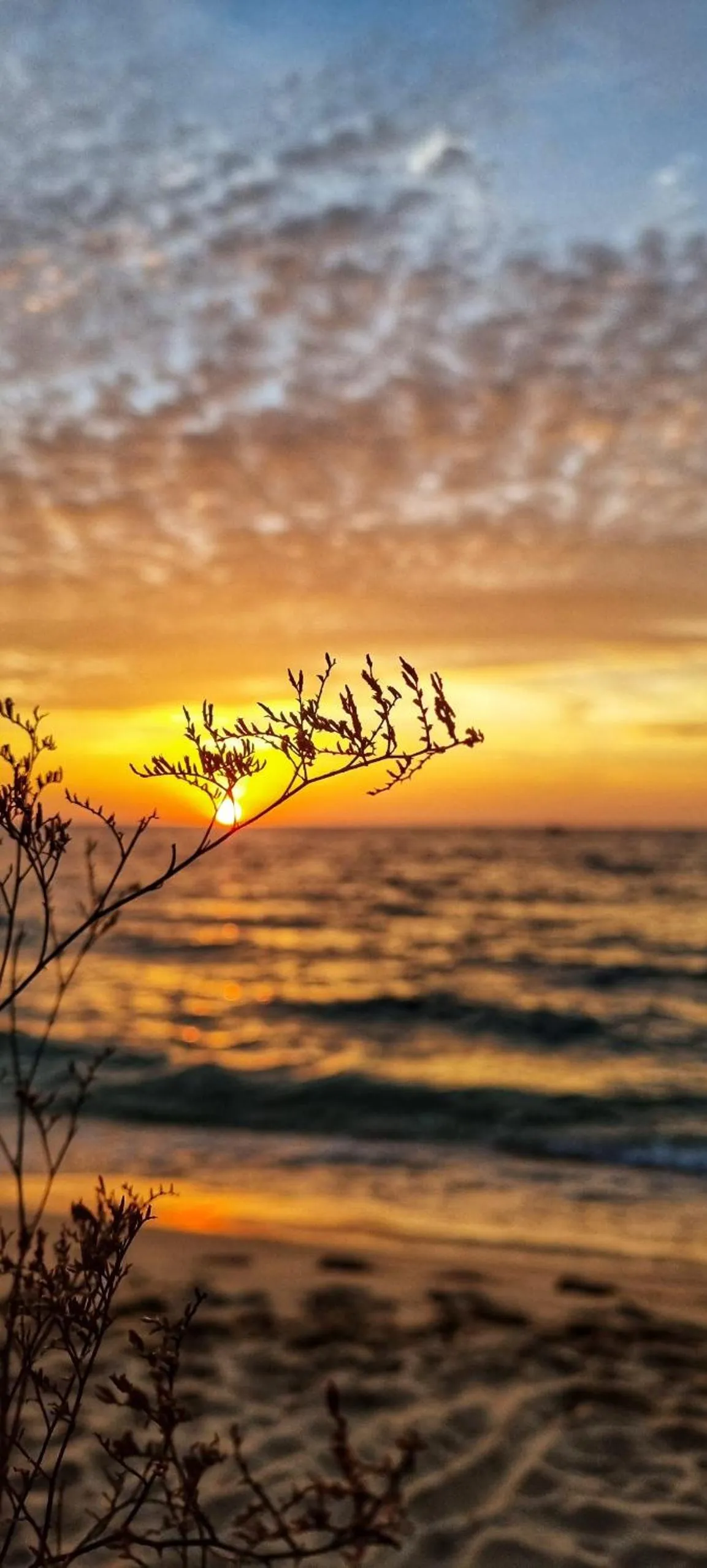 Miana Resort Phu Quoc