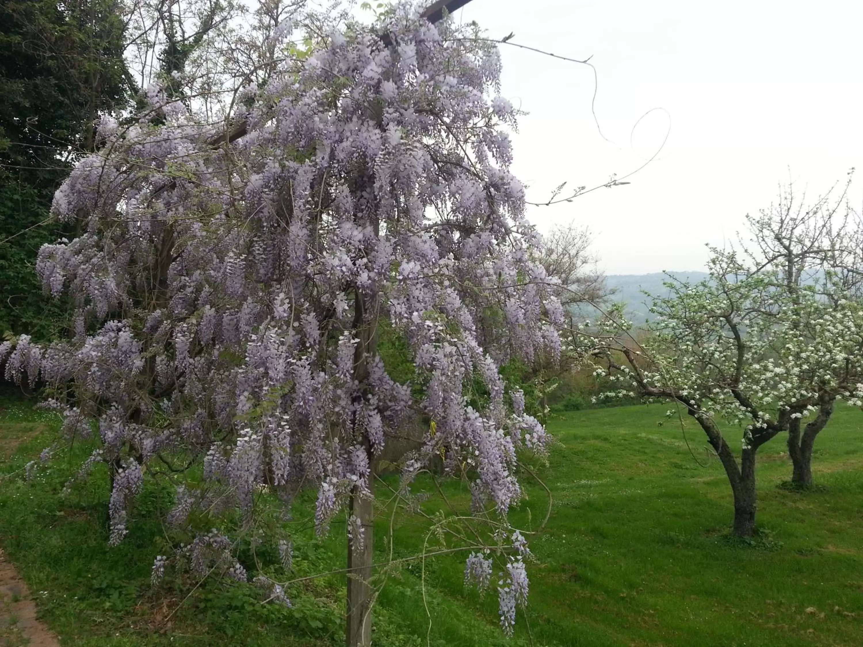 Casale Druida