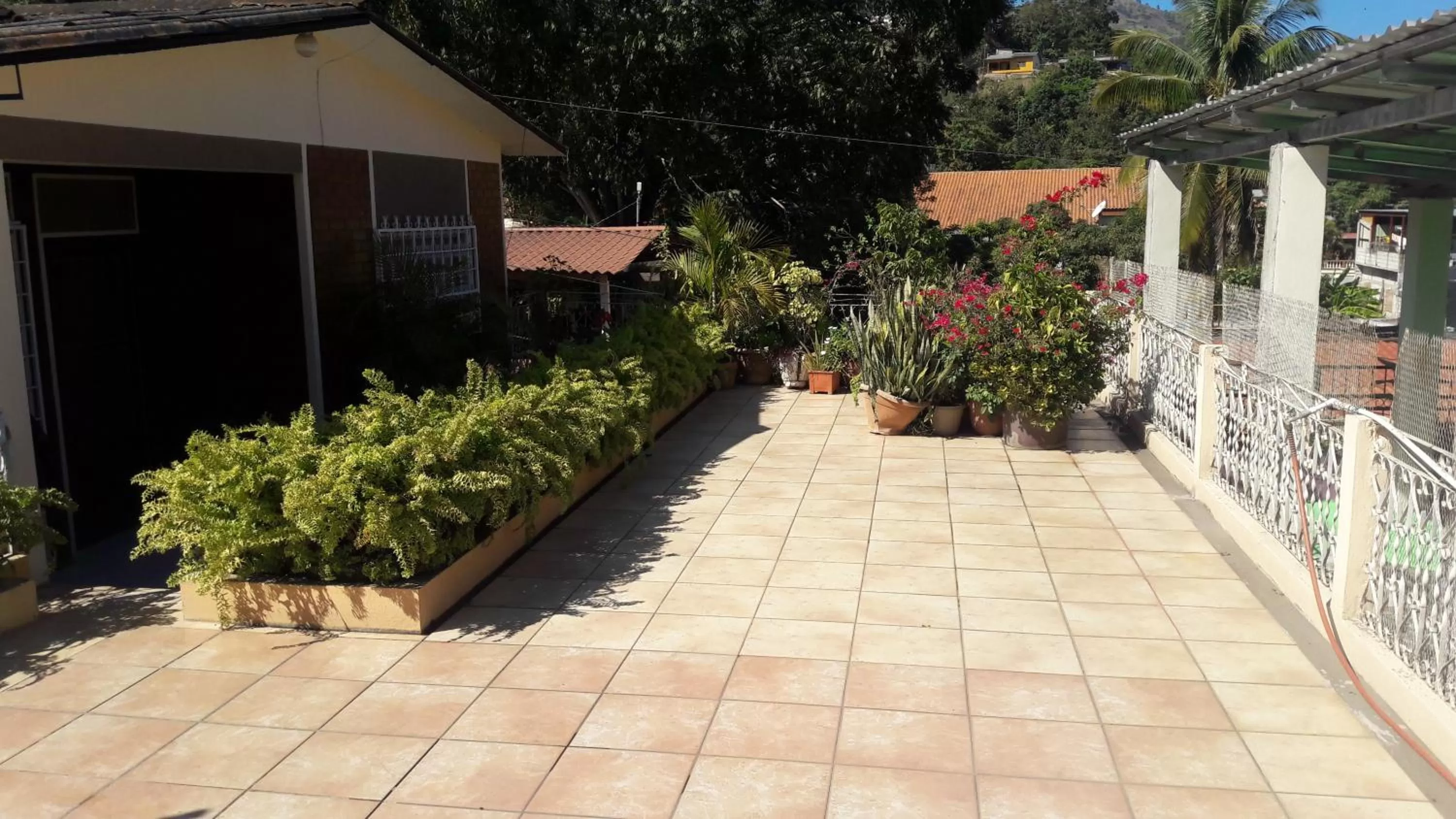 Natural landscape in Hotel Brisas de Copan