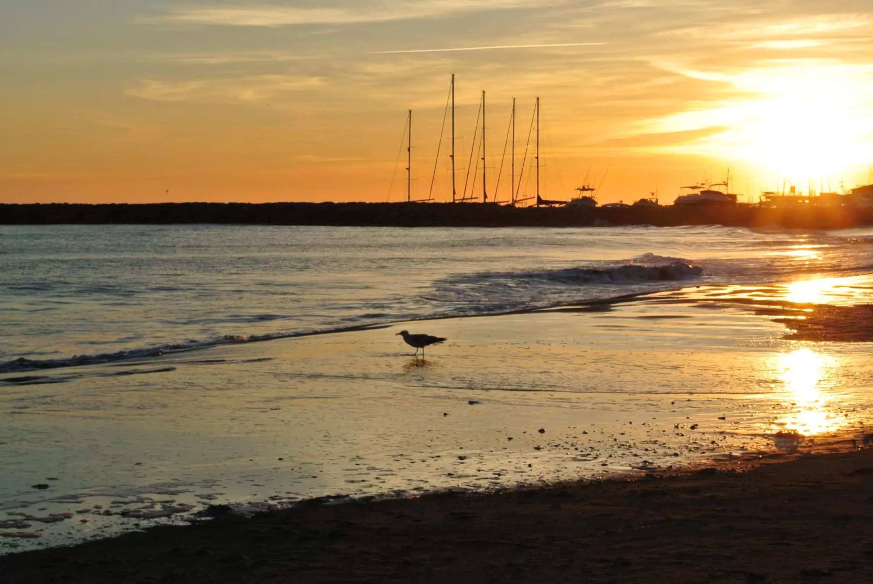 Area and facilities, Beach in Hotel Les Palmiers En Camargue