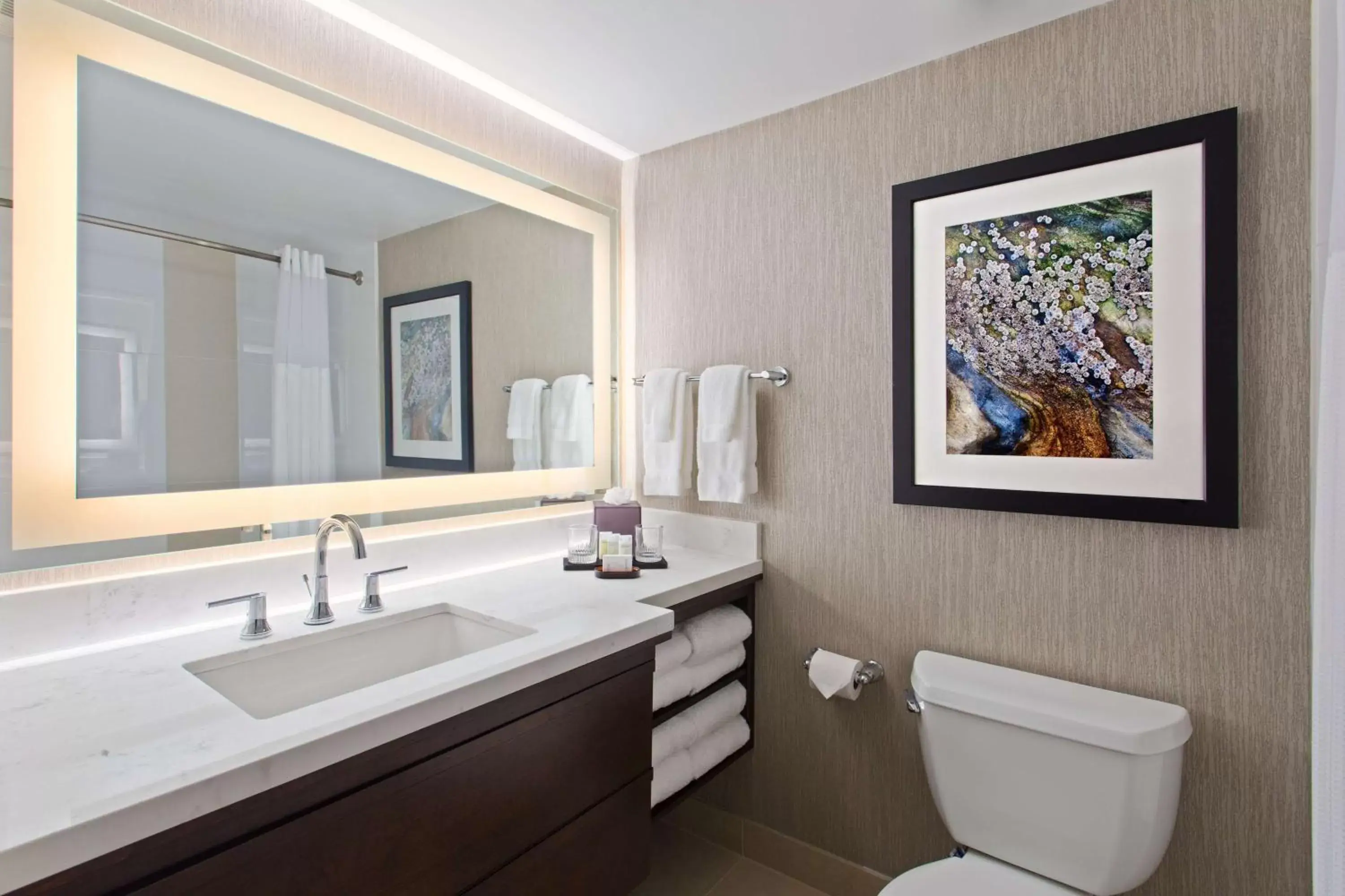 Bathroom in Embassy Suites by Hilton Orlando International Drive Convention Center