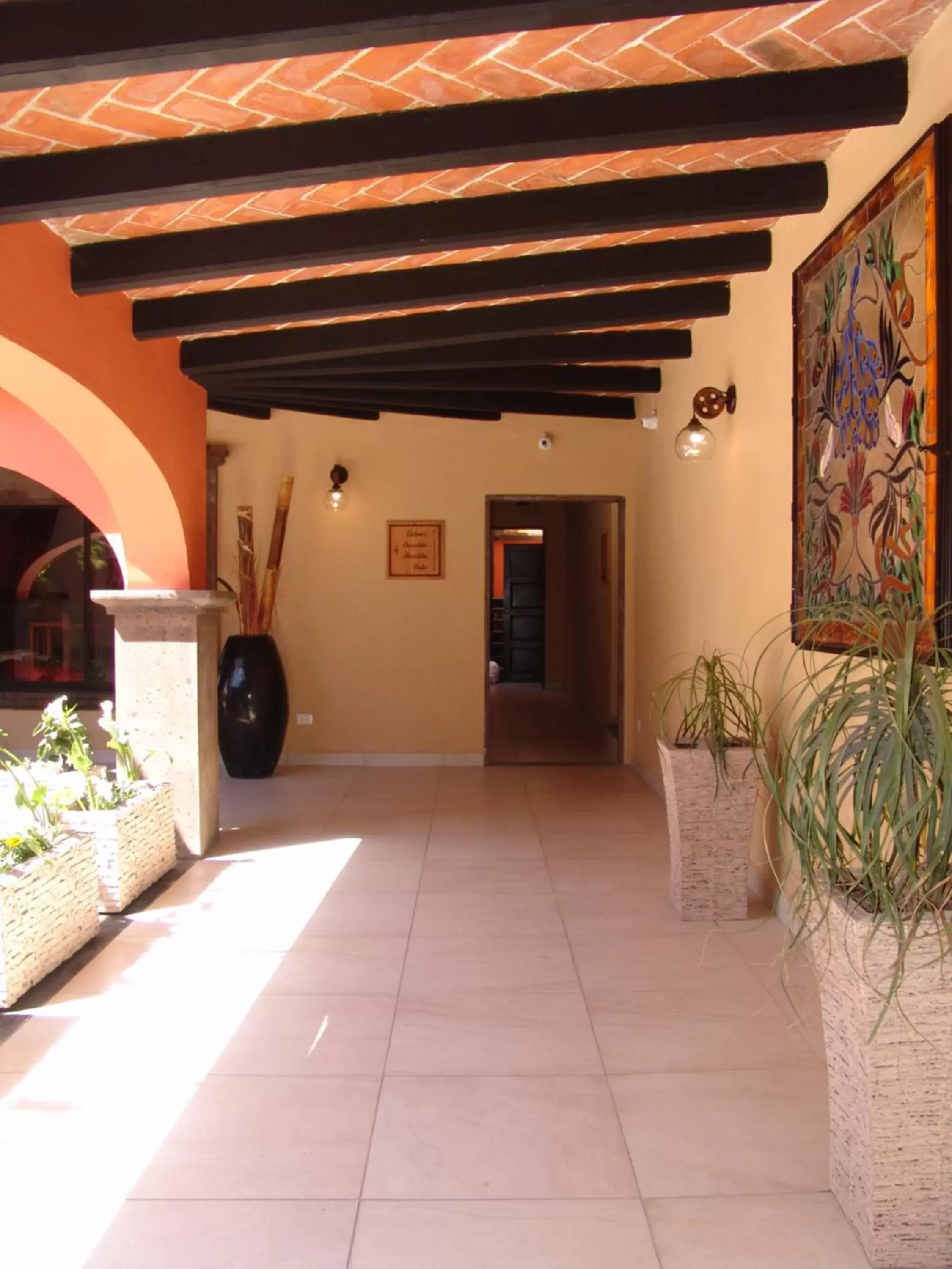 Area and facilities in Hotel Casa Don Quijote