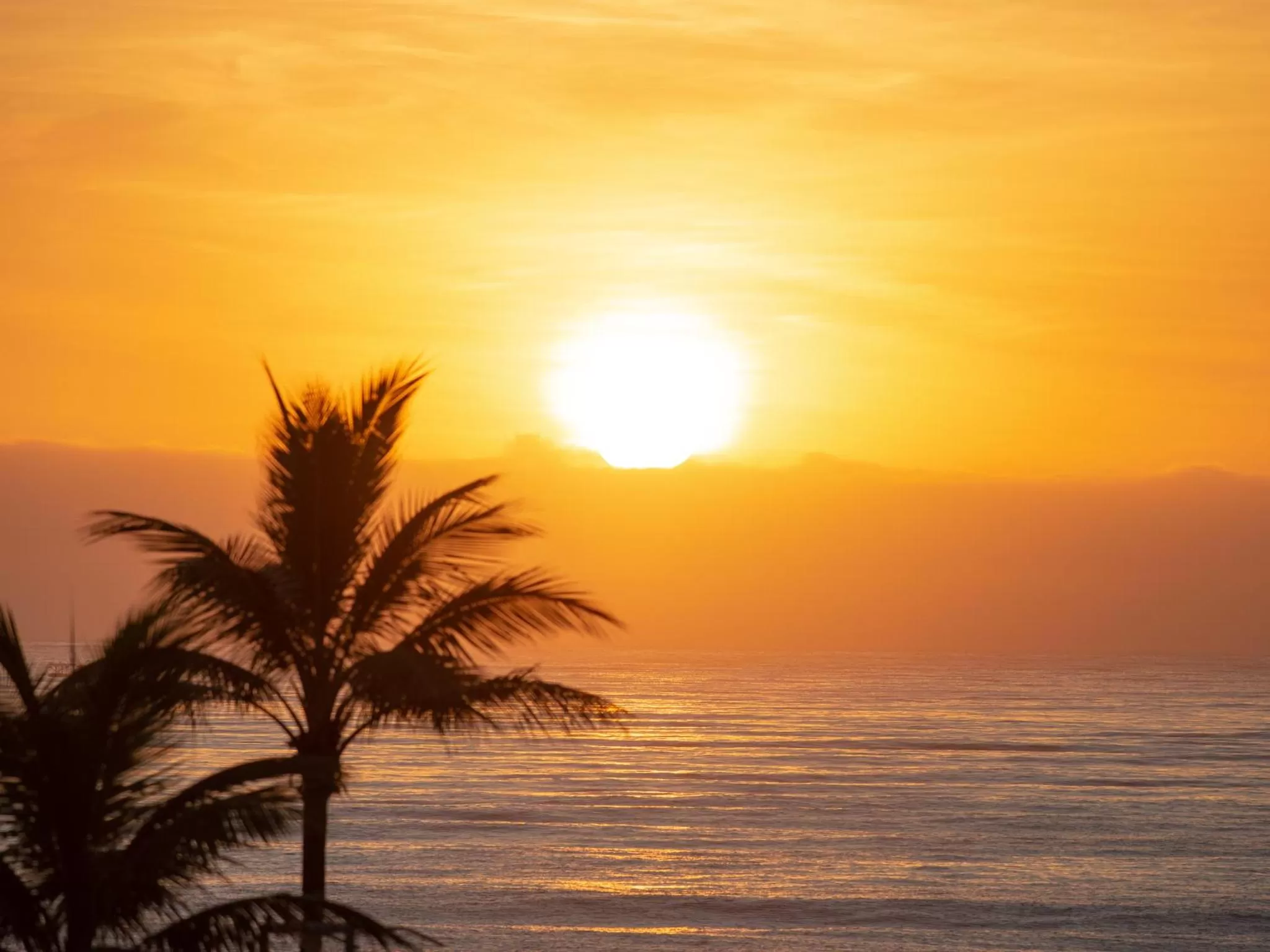 Beach in Hotel Costa Norte Massaguaçu