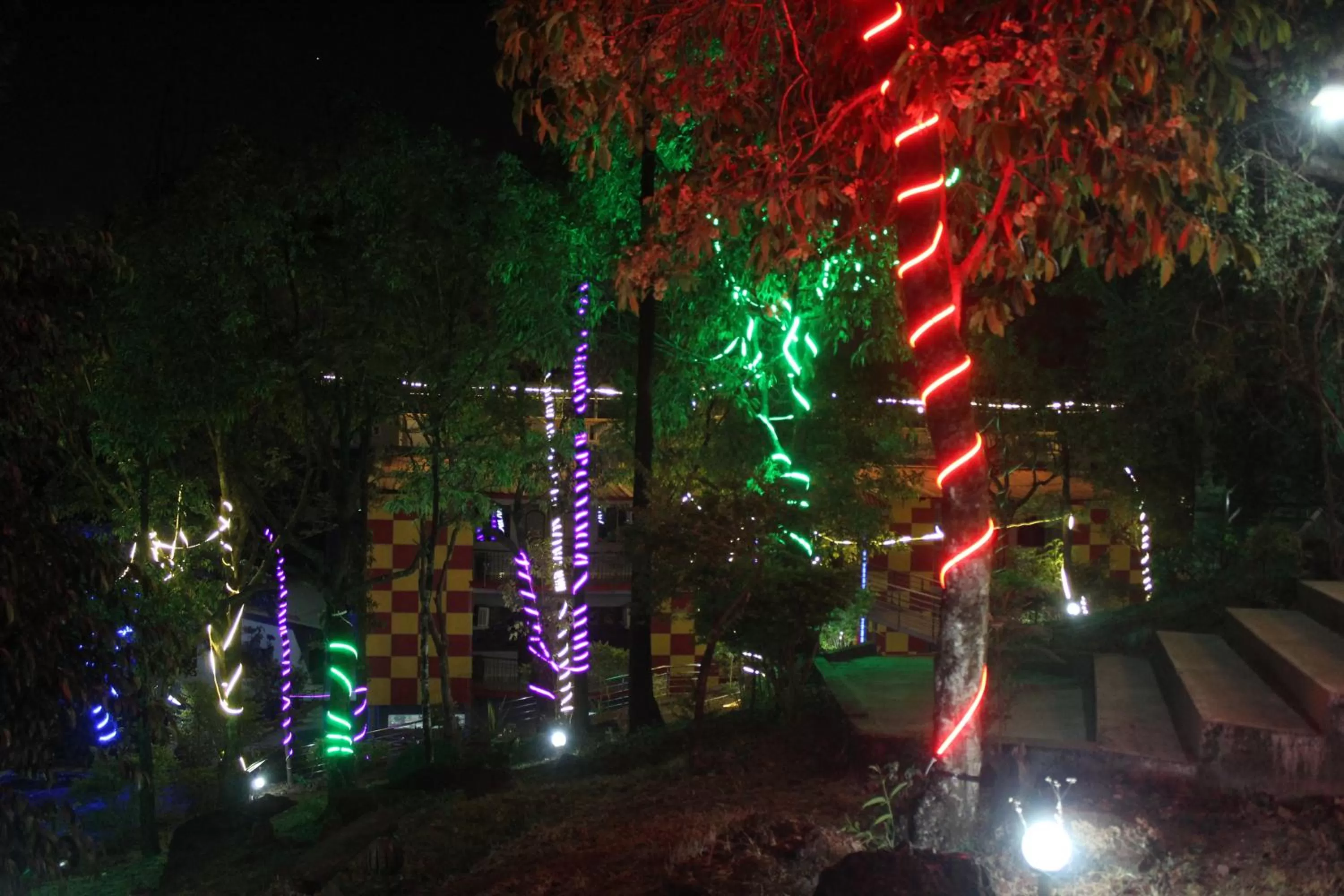 Night in Greenwood Resort